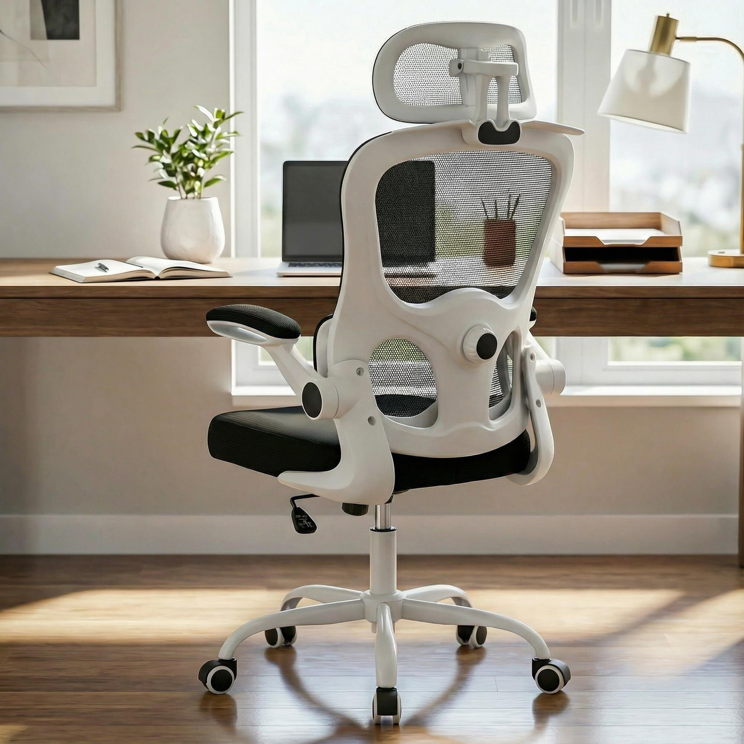 Image of Drogo Premium Ergonomic Office Chair for Work from Home, Adjustable Lumbar Support Mesh Office Executive Chair