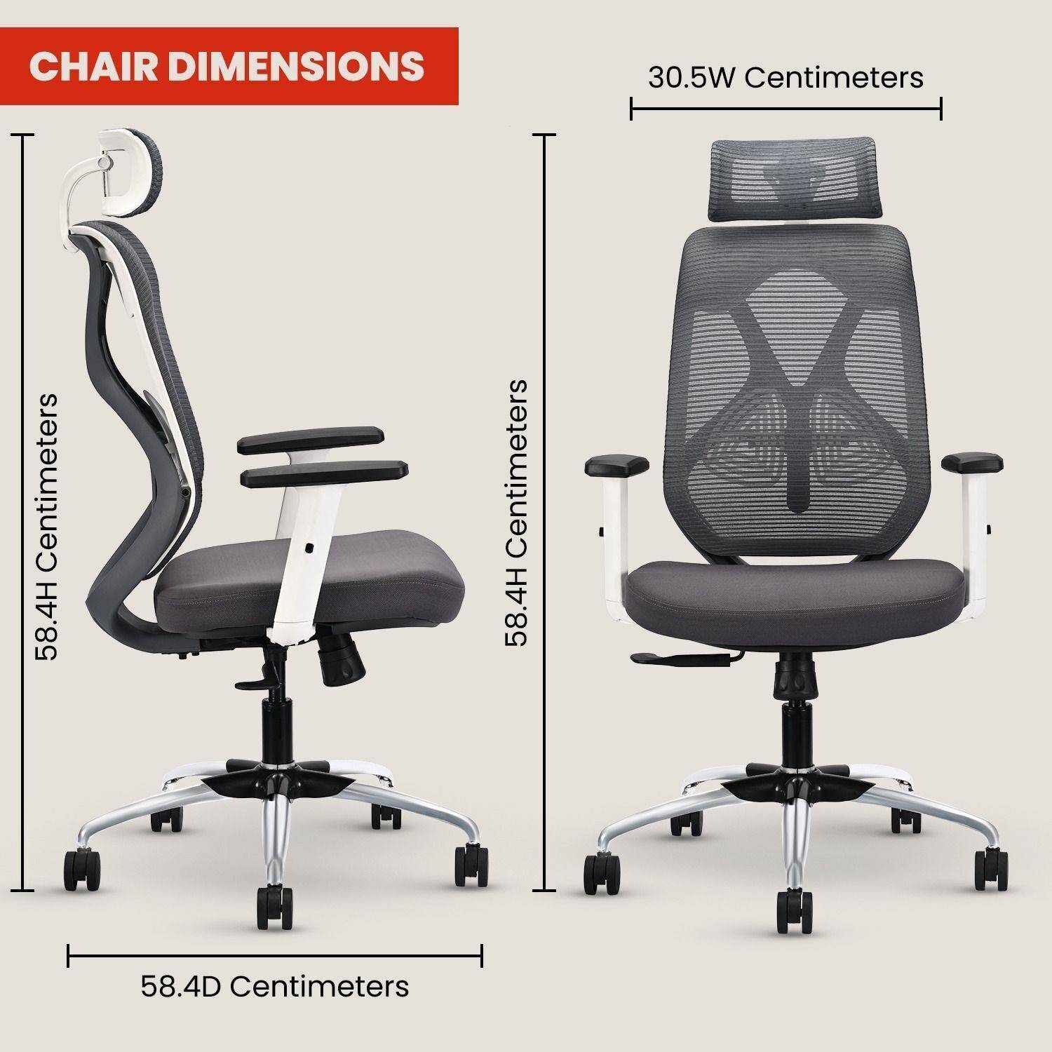 IAFA Ergolux High Back Ergonomic Office Chair with Heavy Duty