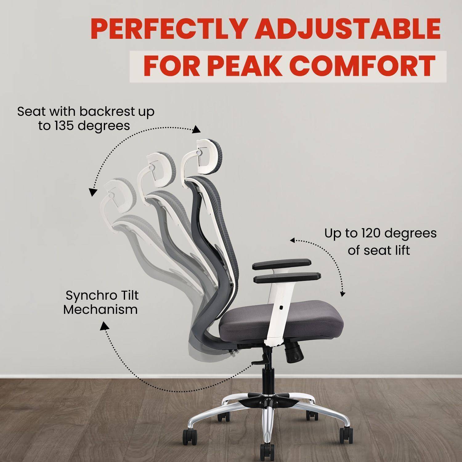 IAFA Ergolux High Back Ergonomic Office Chair with Heavy Duty