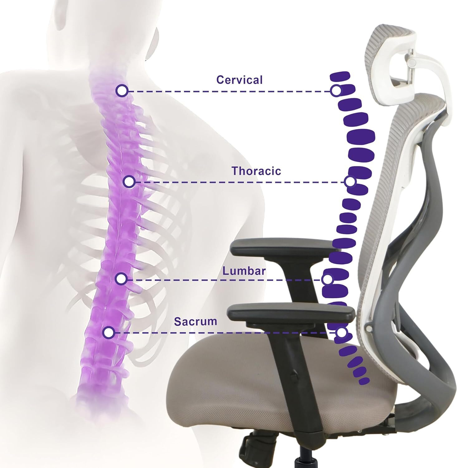 Image of Wakefit Single Lock || Nylon Base || Mesh Office Executive Chair