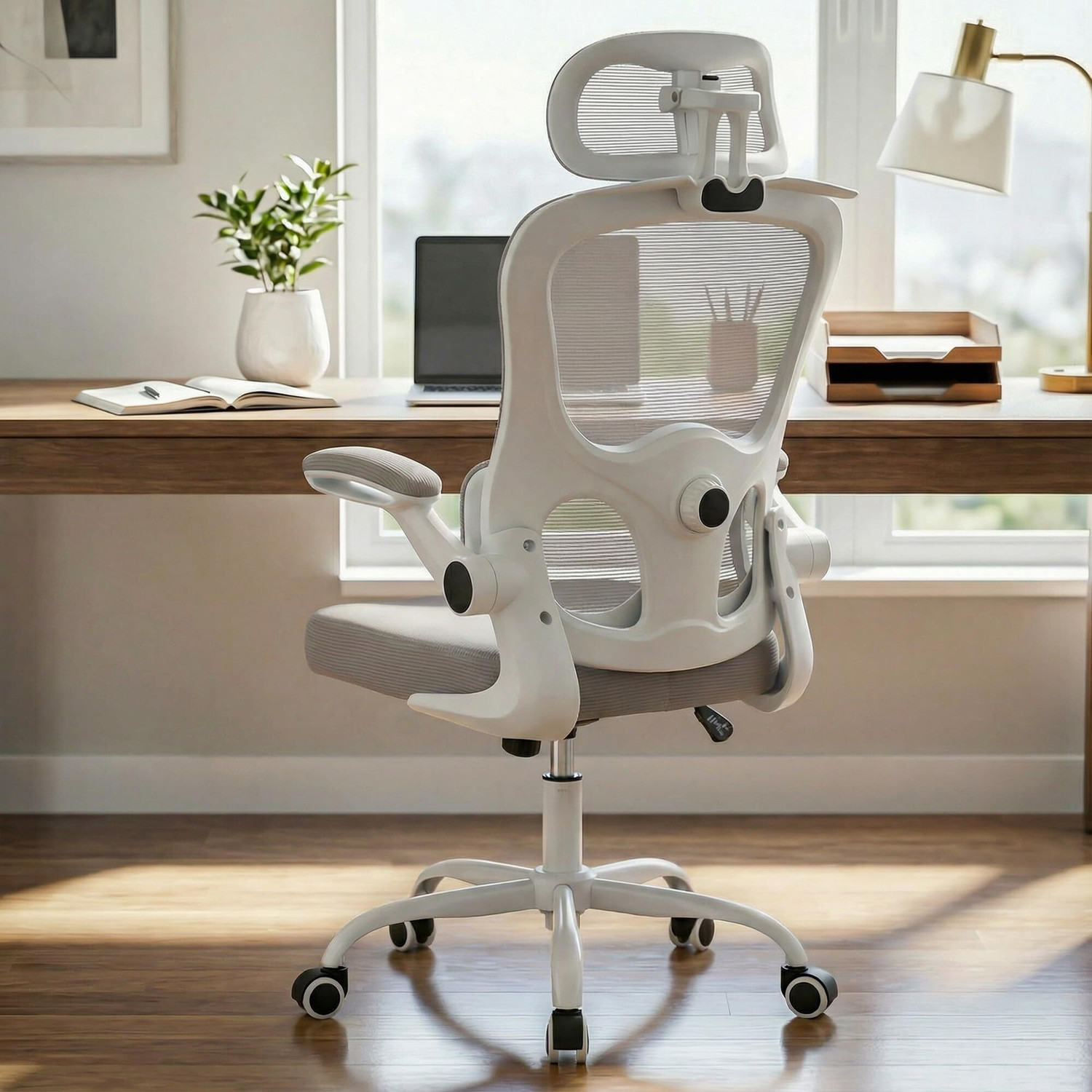 Image of Drogo Premium Ergonomic Office Chair for Work from Home, Adjustable Lumbar Support Mesh Office Executive Chair