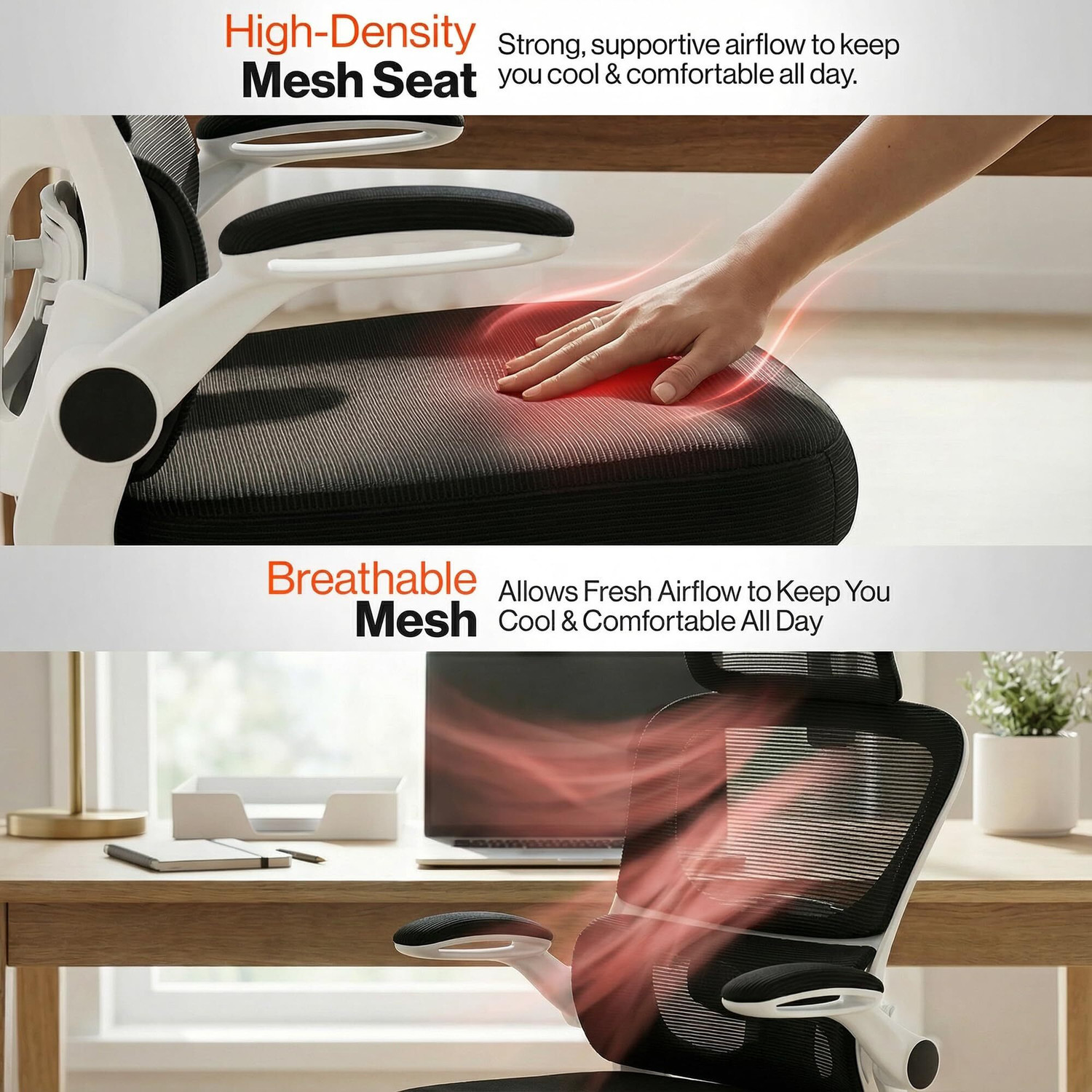 Image of Drogo Premium Ergonomic Office Chair for Work from Home, Adjustable Lumbar Support Mesh Office Executive Chair