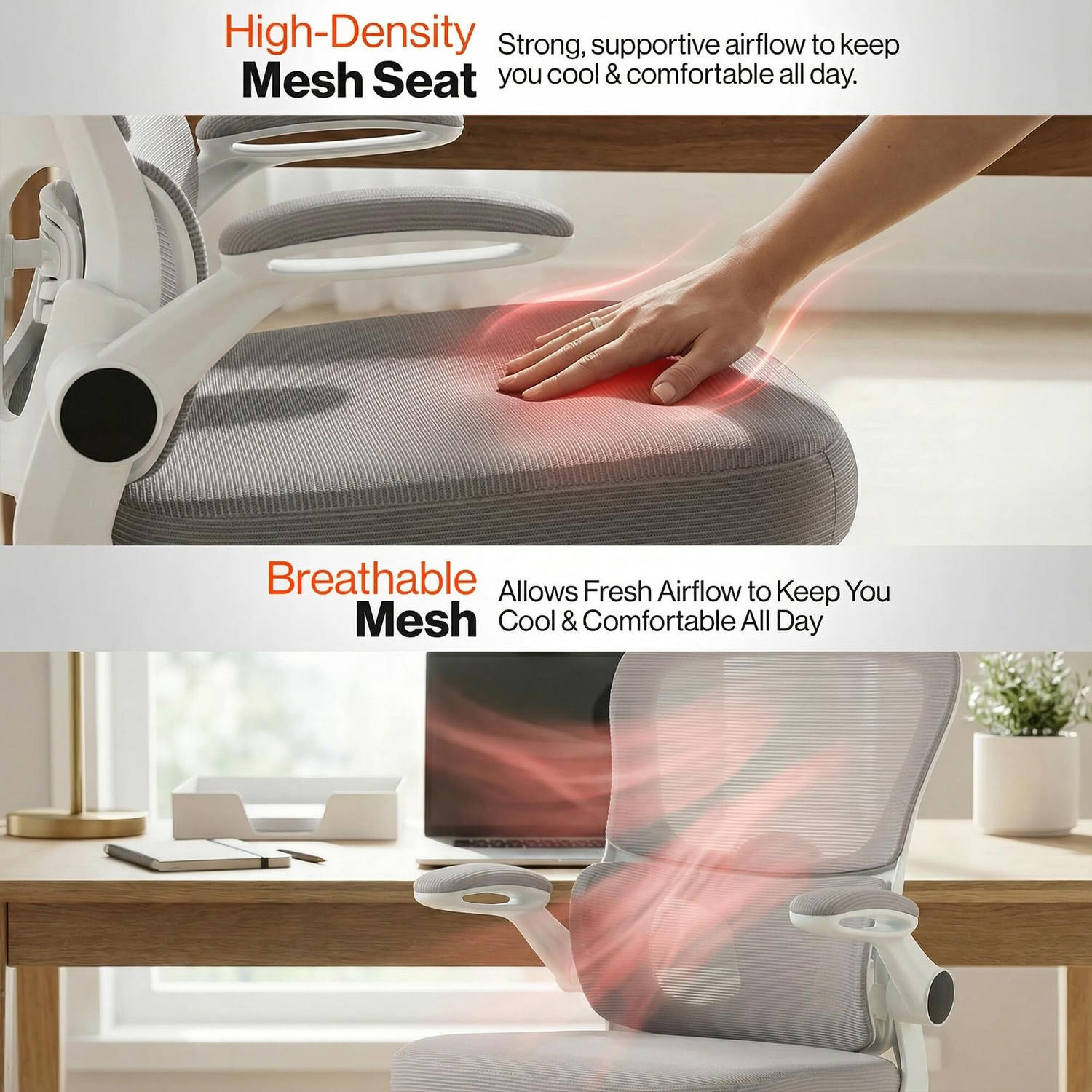 Image of Drogo Premium Ergonomic Office Chair for Work from Home, Adjustable Lumbar Support Mesh Office Executive Chair