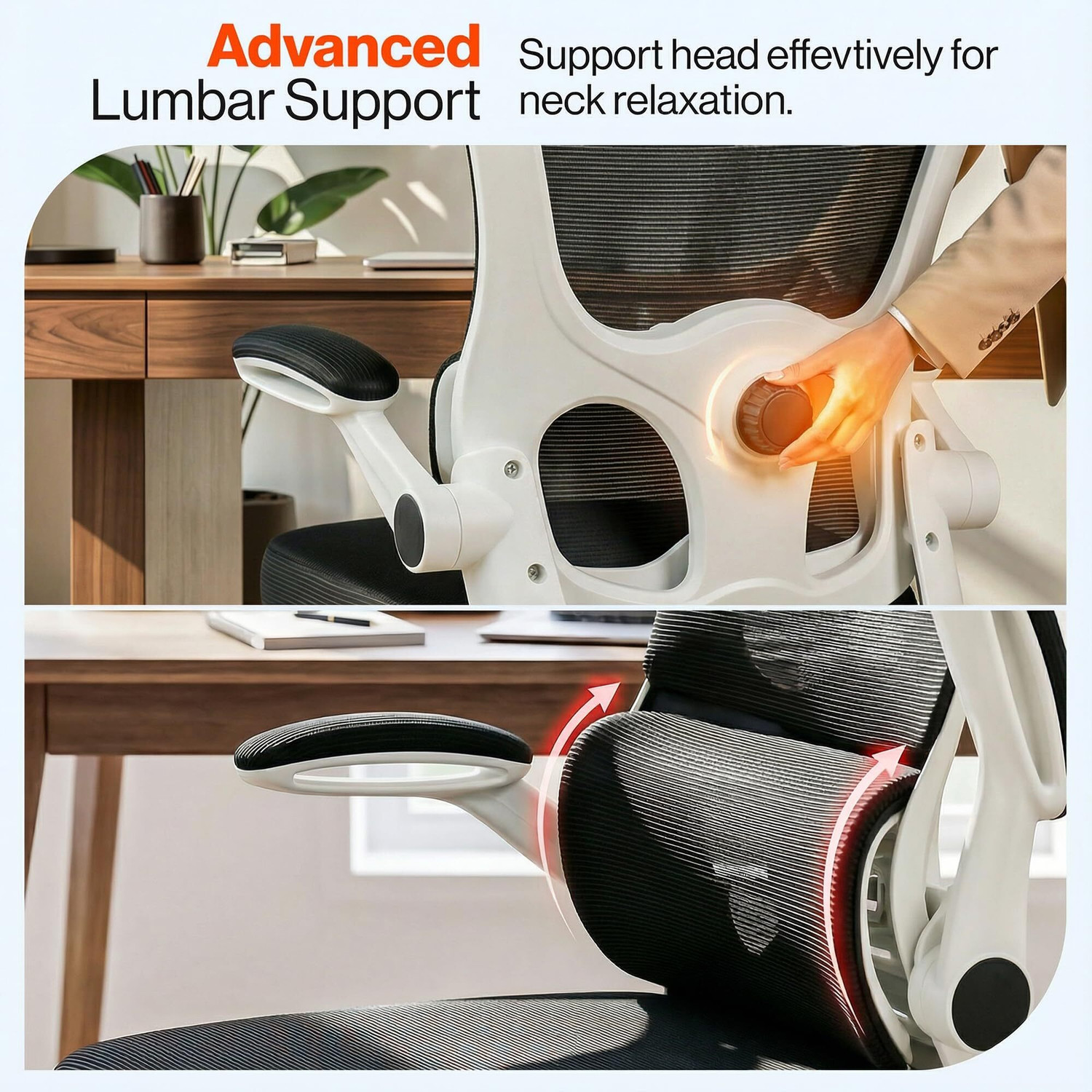 Image of Drogo Premium Ergonomic Office Chair for Work from Home, Adjustable Lumbar Support Mesh Office Executive Chair