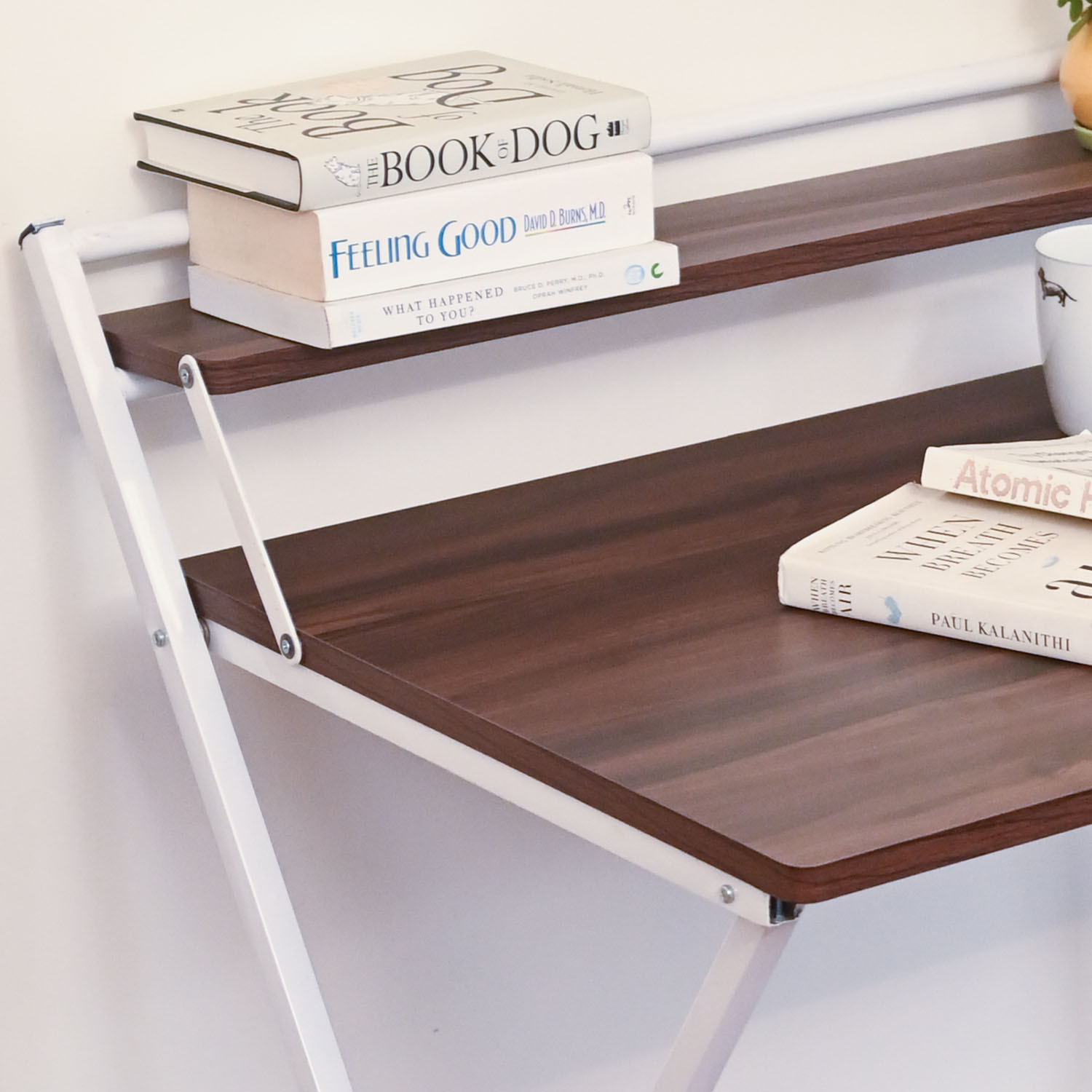 Image of Faburaa Venus 36x24 Foldable Table for Home and Office, Computer & Laptop, Study Desk Engineered Wood Study Table