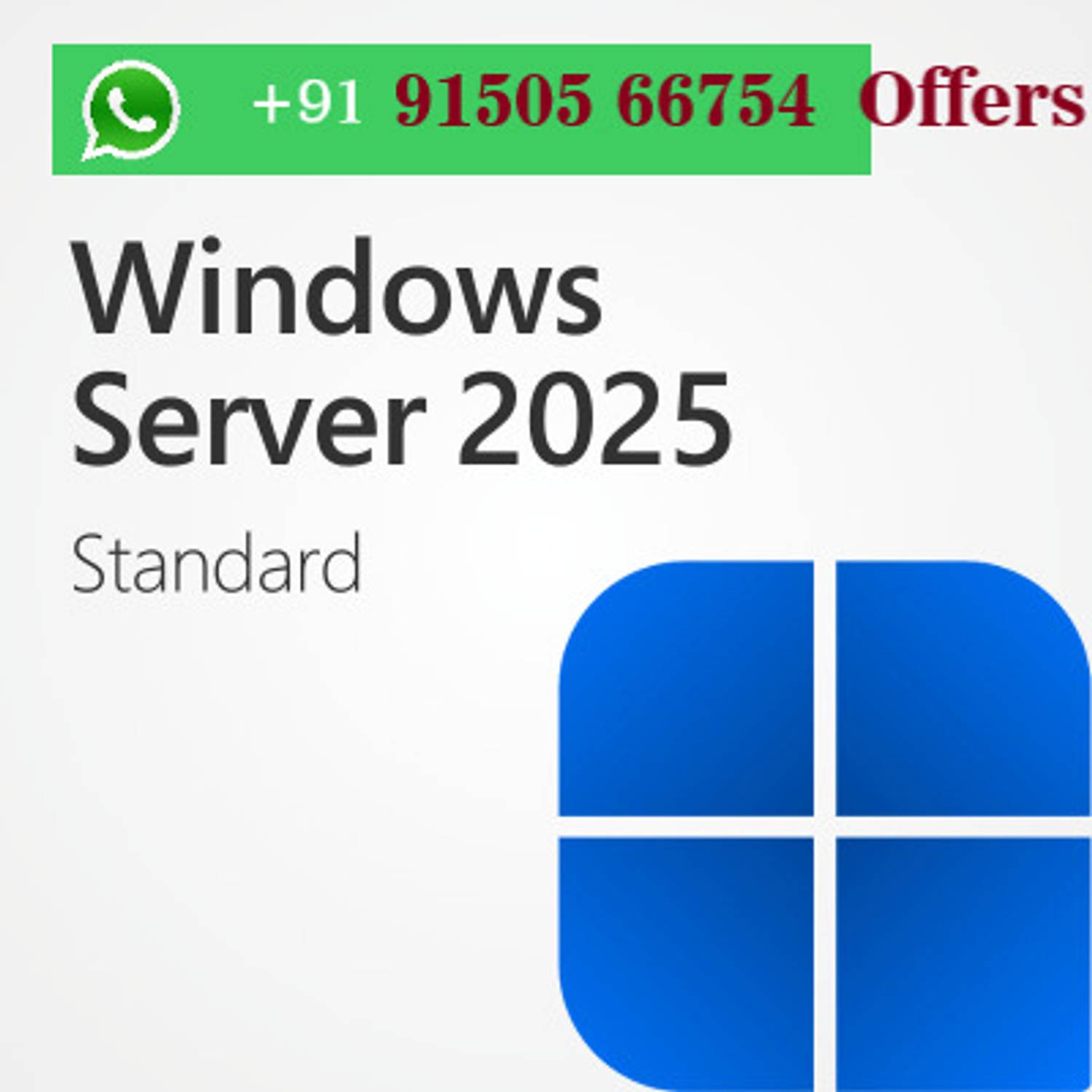 MICROSOFT Windows 11 Pro & Office Professional Plus 2024 (1 User