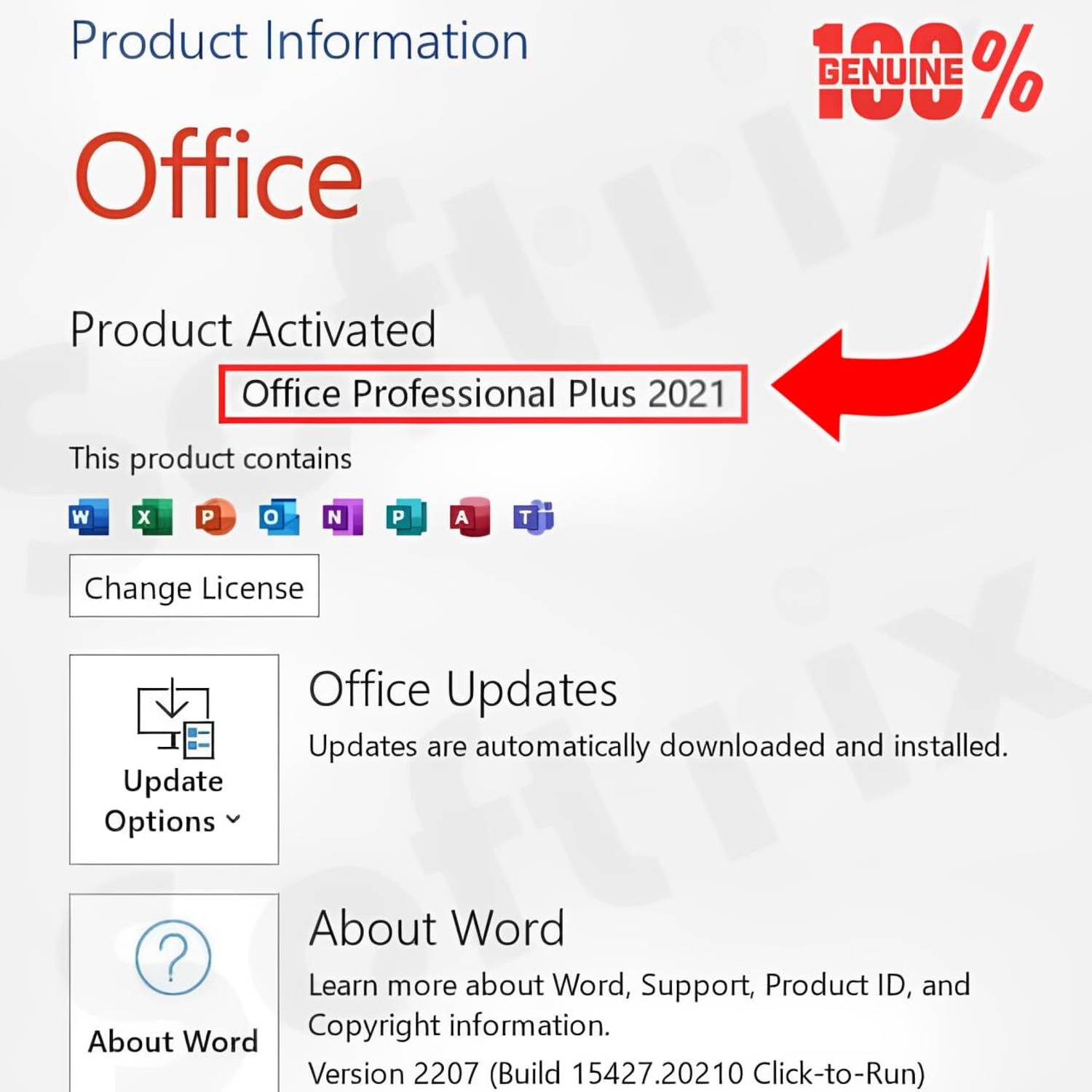 MICROSOFT Office 2021 Pro Plus Lifetime ( 1 PC / User ) Genuine