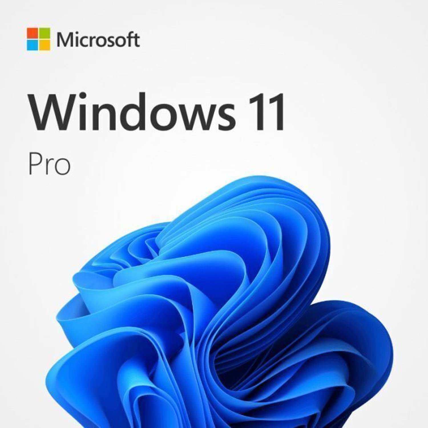 MICROSOFT Windows 11 Pro & Office Professional Plus 2024 (1 User
