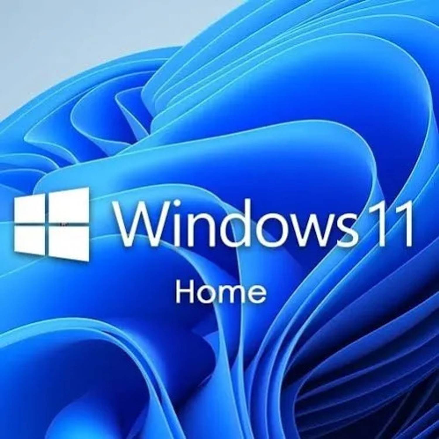 MICROSOFT Windows 11 Home (1 User/PC, Lifetime Validity) Retail