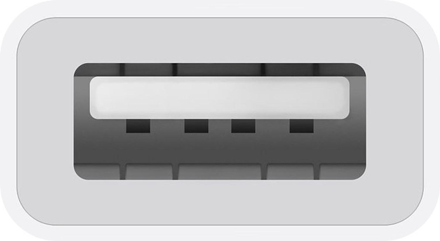 Image of Apple USB Type C OTG Adapter