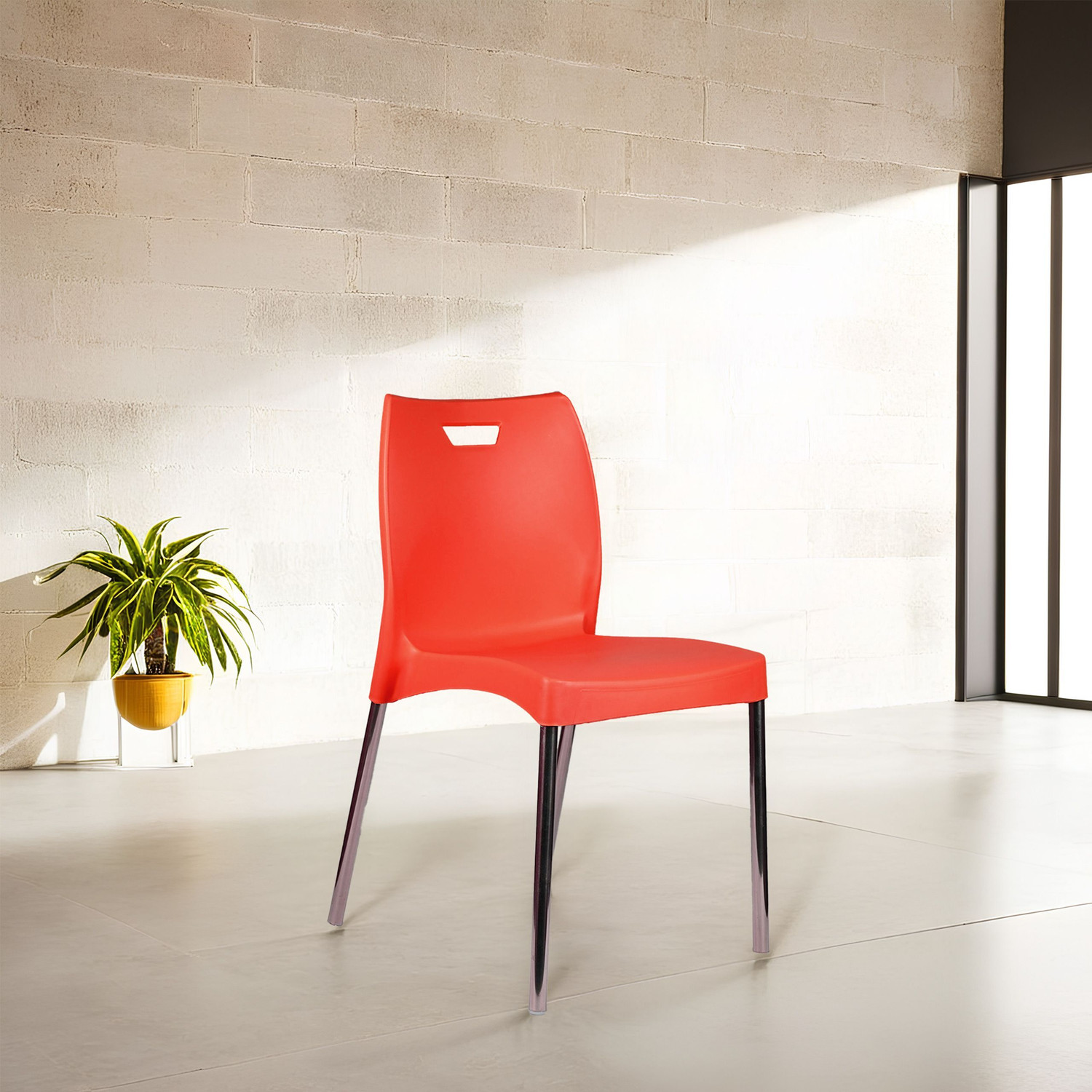 Image of Diya Max Web Plastic Chair for Dining Room, Cafe and Restaurents Plastic Cafeteria Chair