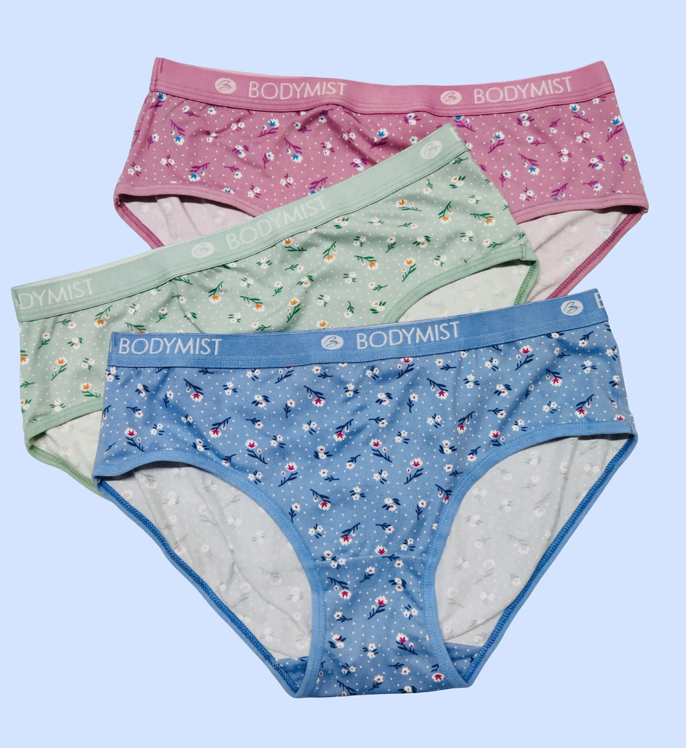 Image of Bodymist Women Hipster Multicolor Panty