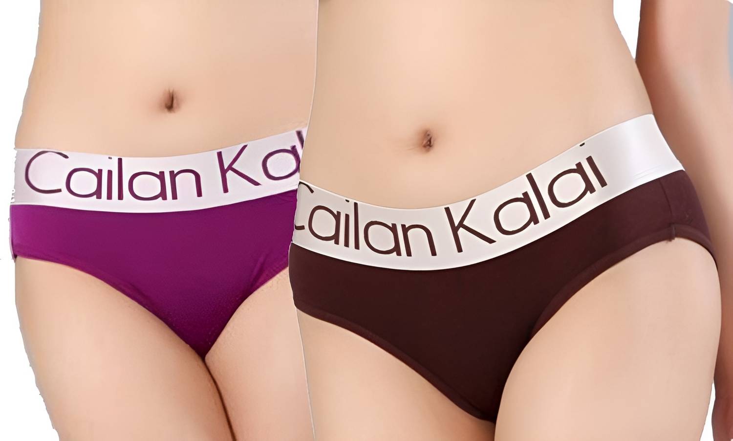Wave Fashion Women Hipster Purple, Brown Panty