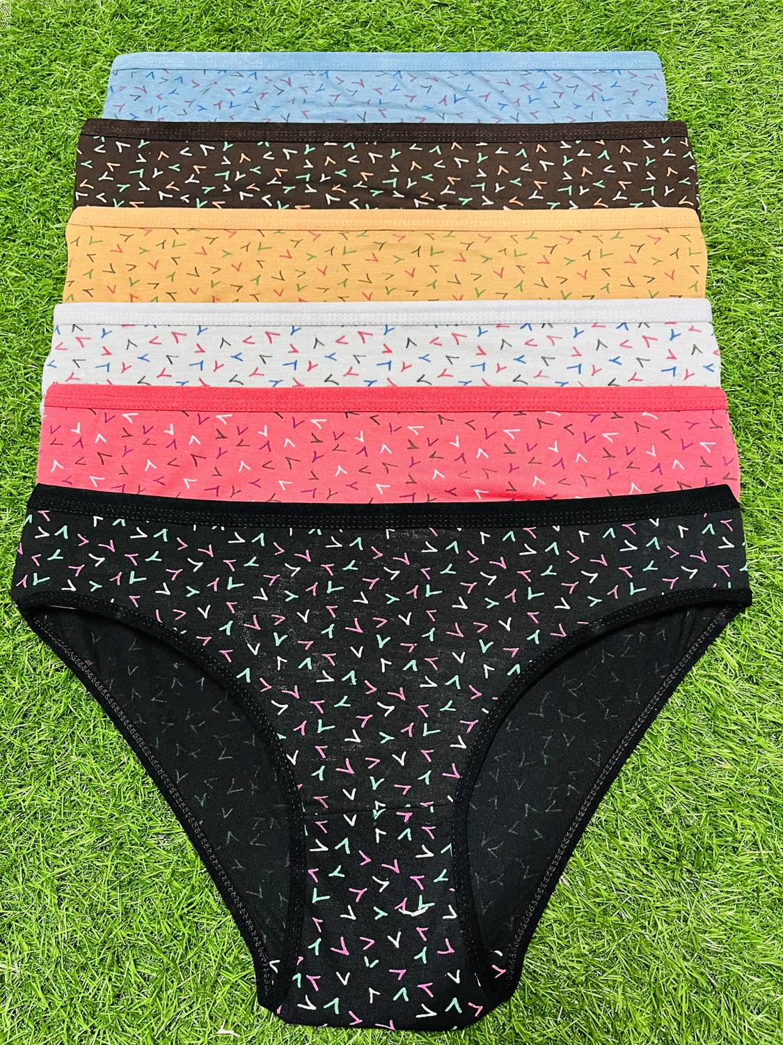 BLUE-WELL Women Hipster Multicolor Panty