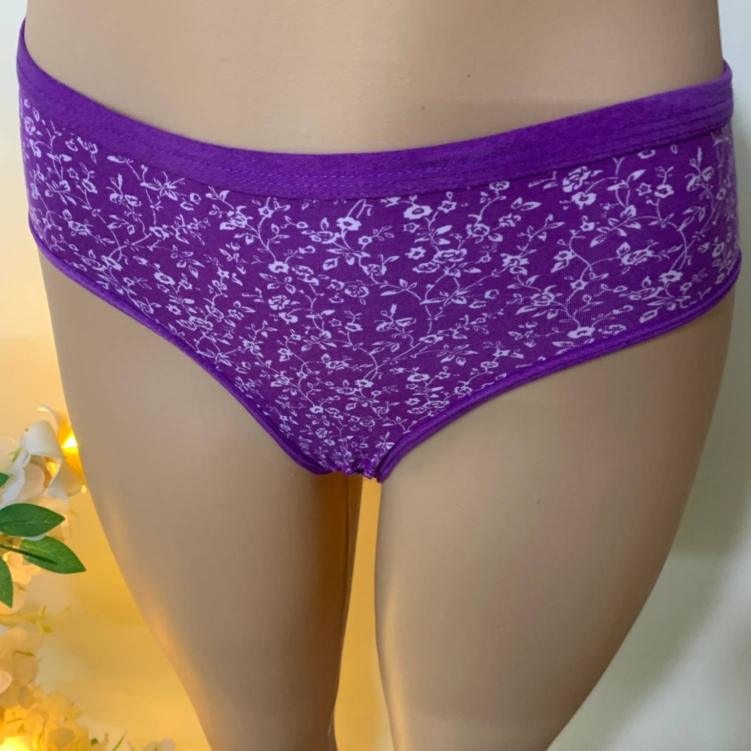 THE BLESSED CRESCENT Women Hipster Purple Panty
