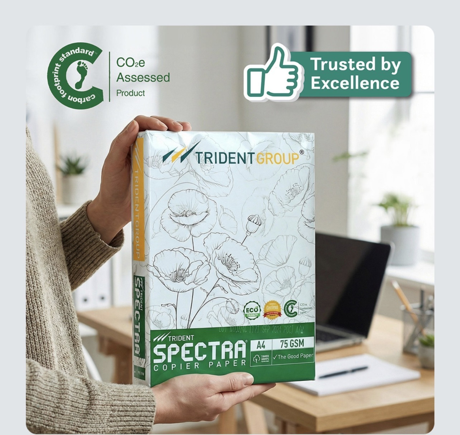 Image of TRIDENT spectra Multipurpose copier paper 500 sheets 75 gsm Unruled A4 75 gsm A4 paper