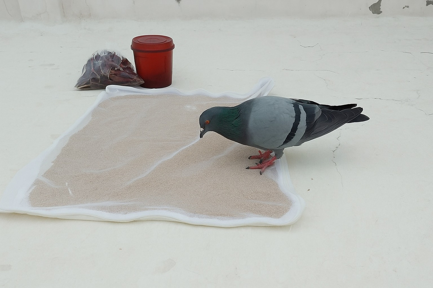 Image of ikaa Pastry Cloth