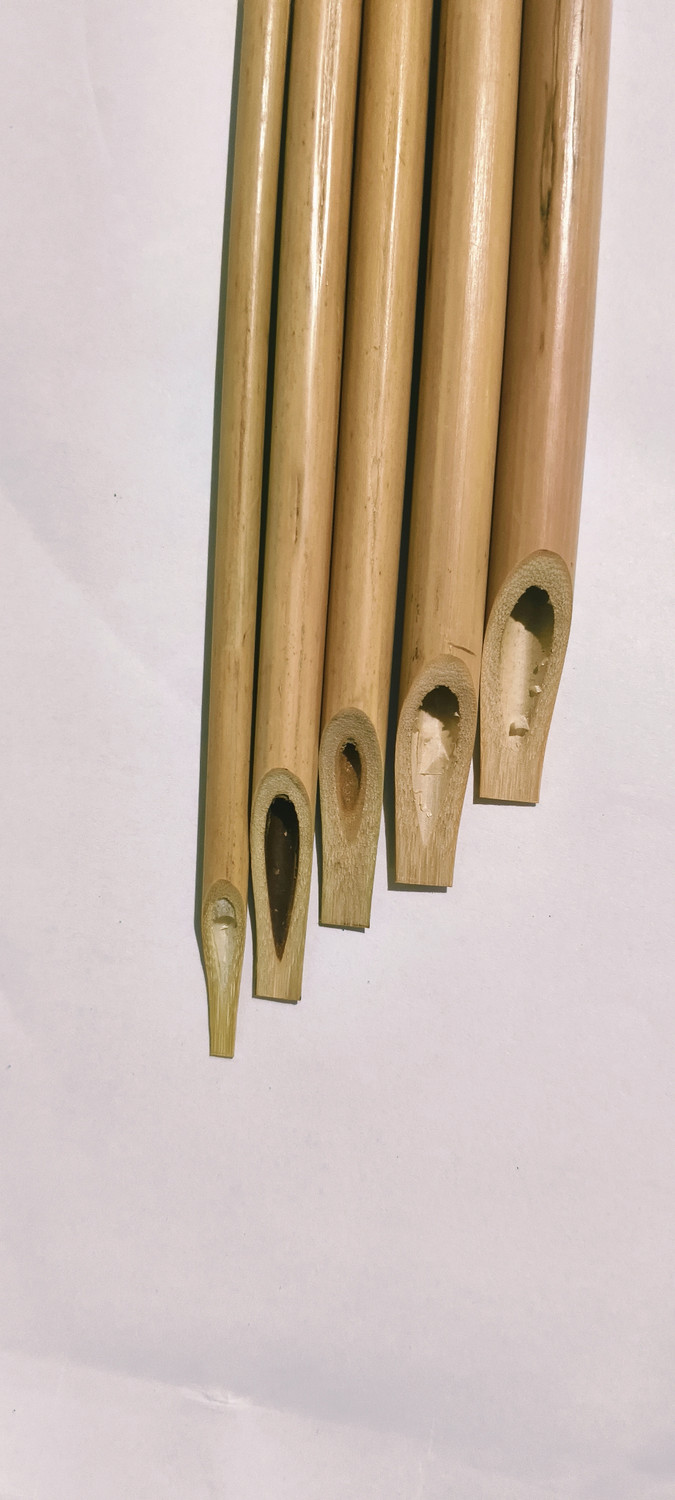 Image of RAZI ENTERPRISES One Set of bamboo calligraphy pen Calligraphy