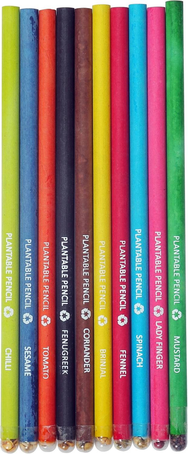 Bamboo Haat Use And Grown Recycled Paper Pencil With Seed (Pack Of 10) Pencil