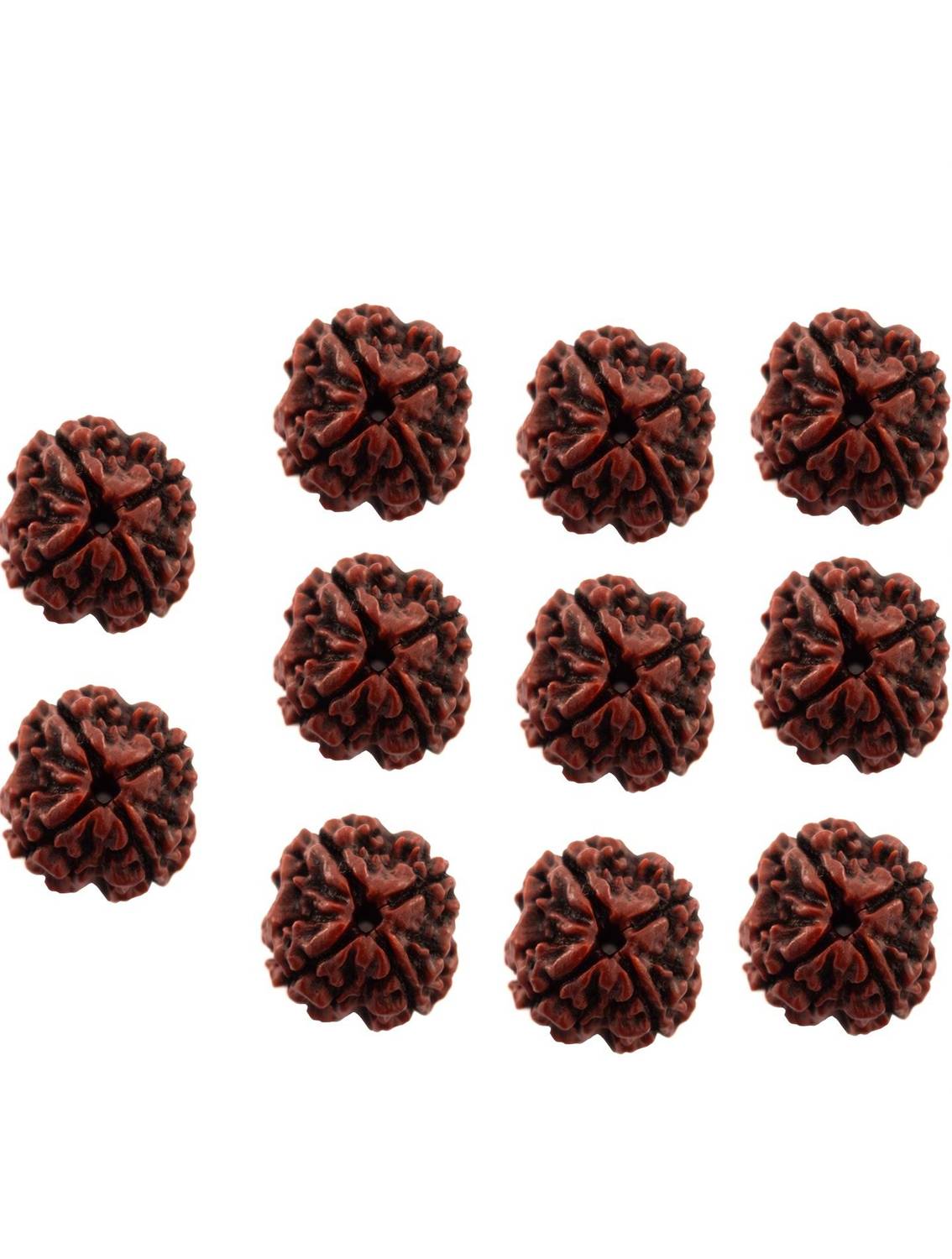 Bhuwar 4 mukhi rudraksha 11 pcs set with hole Nepal beads Shell