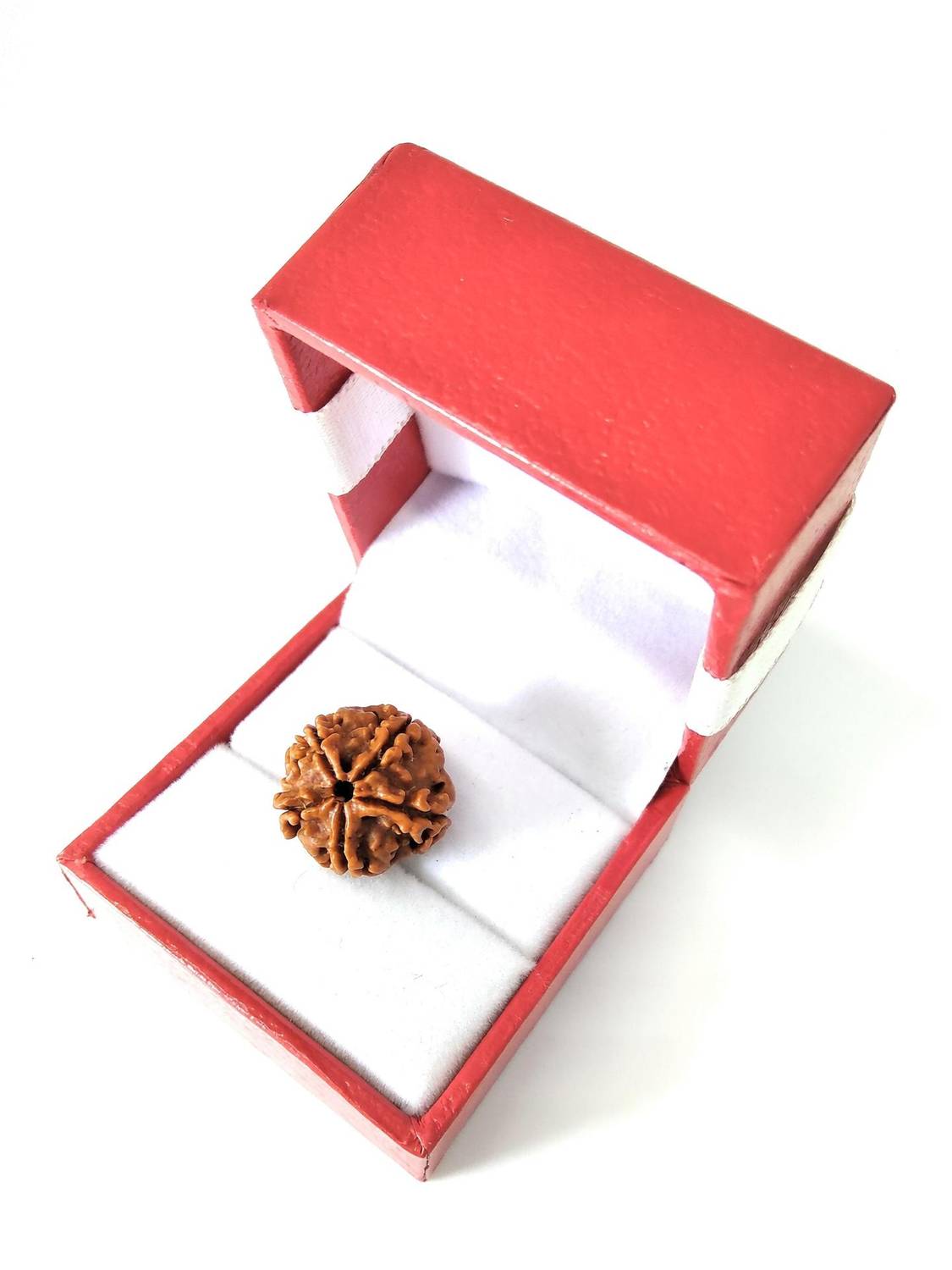 Astrosale 5 Mukhi Rudraksha Beads Wood Pendant