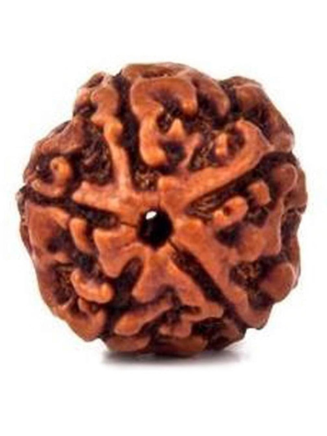 Image of kartik gems HARI ALANKAR 5 MUKHI RUDRAKSHA five face 100% original Wood Pendant