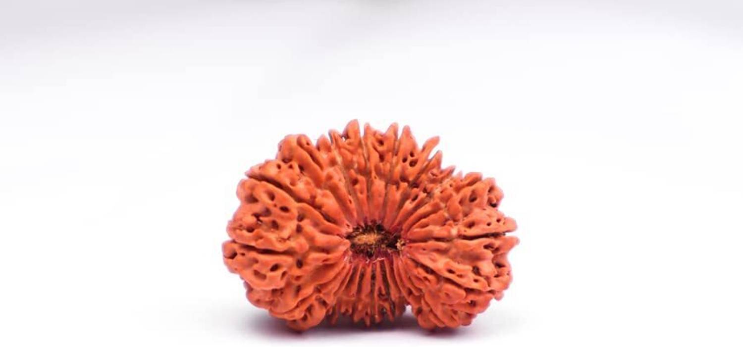 DIVINE SOUVENIRS ORIGINAL (NEPALI) 20 MUKHI RUDRAKSHA Wood Pendant