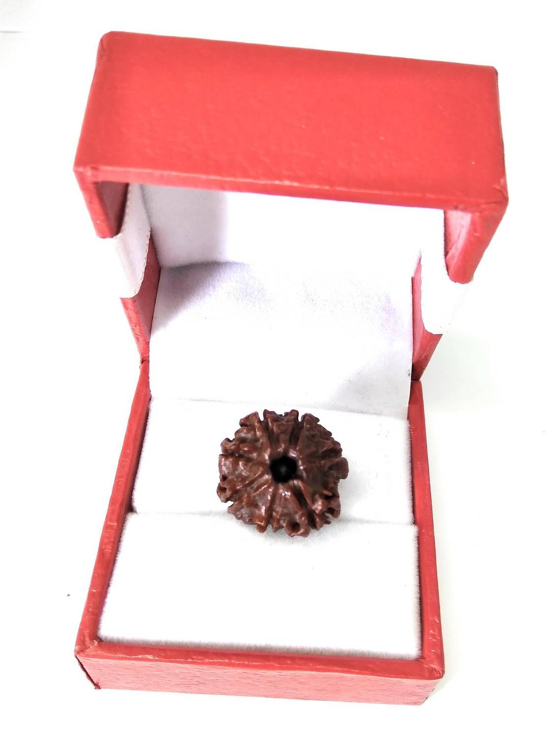 Astrosale 7 Mukhi Rudraksha Beads Wood Pendant