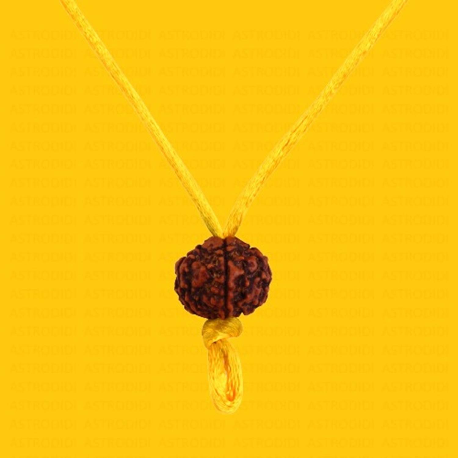 Astrodidi 5 Mukhi Nepali Rudraksha Original Five Face Siddha Rudraksha in Yellow Thread Wood Pendant