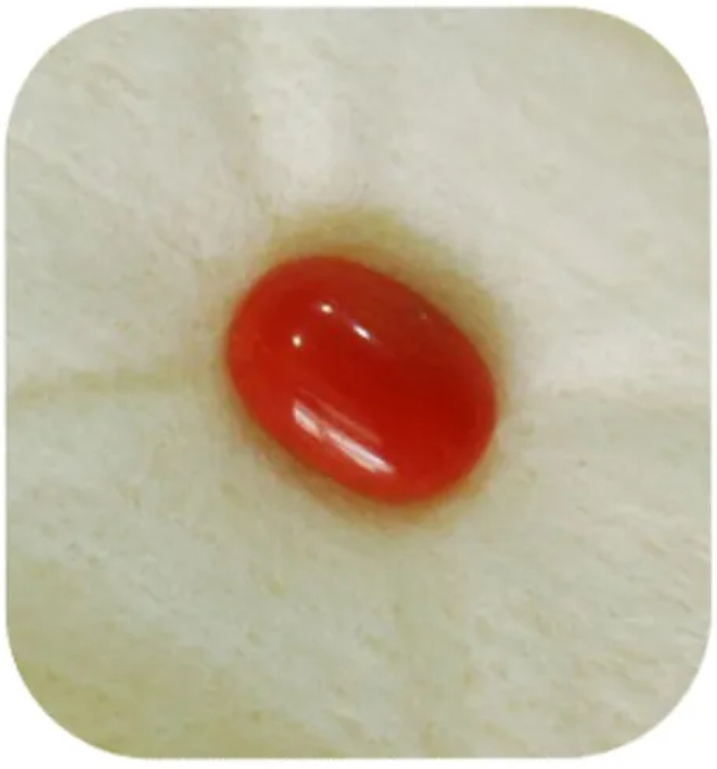 Image of Eryvex Astrological 7.25 Ratti Certified Moonga Oval Stone Coral Brass