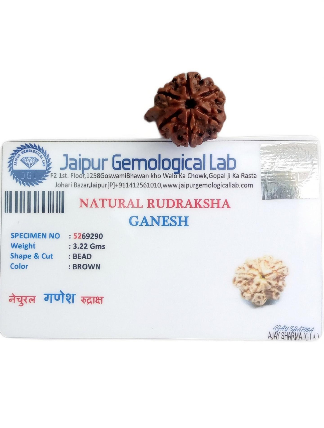 Image of jupiter speaks Ganesh Rudraksha Nepal Lab Certified, 100% Original 6 Mukhi Size 18-21 mm Natural Brown Color for Men and Women Wood Pendant