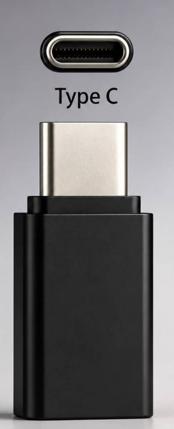 Image of MP M290 256 GB Pen Drive Compatible with Audio Player, Desktop Computer, Gaming Console, Laptop, Mobile, Netbook, Tablet, Television Lightning, USB 2.0, USB 3.0 Metal Case (Multicolor)