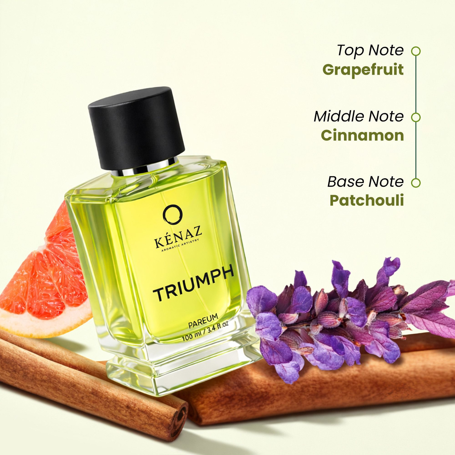 Image of Kenaz Triumph Long Lasting Perfume For Men | Citrus & Woody | 20% Oil Dubai Parfum Eau de Parfum - 100 ml