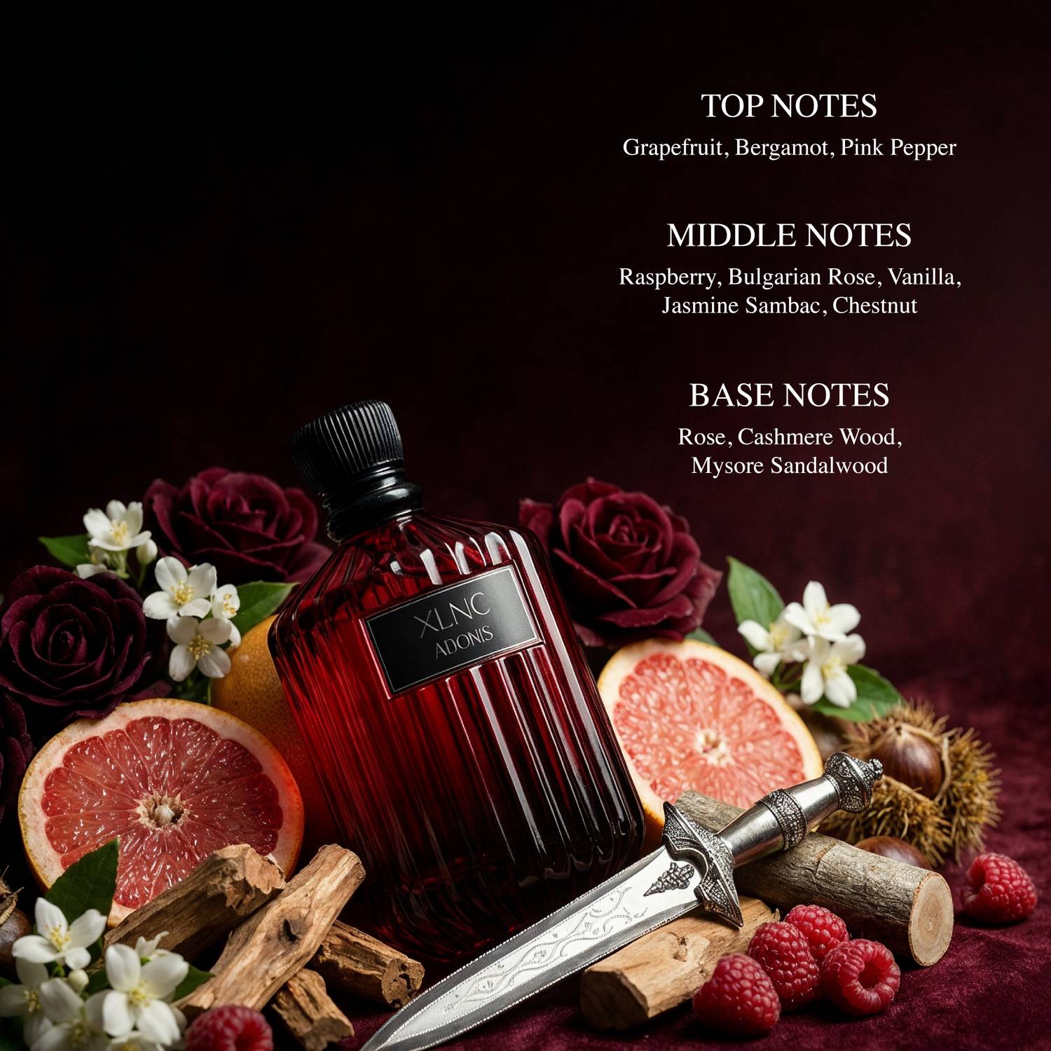 XLNC ADONIS Perfume 100 ml - Image 2