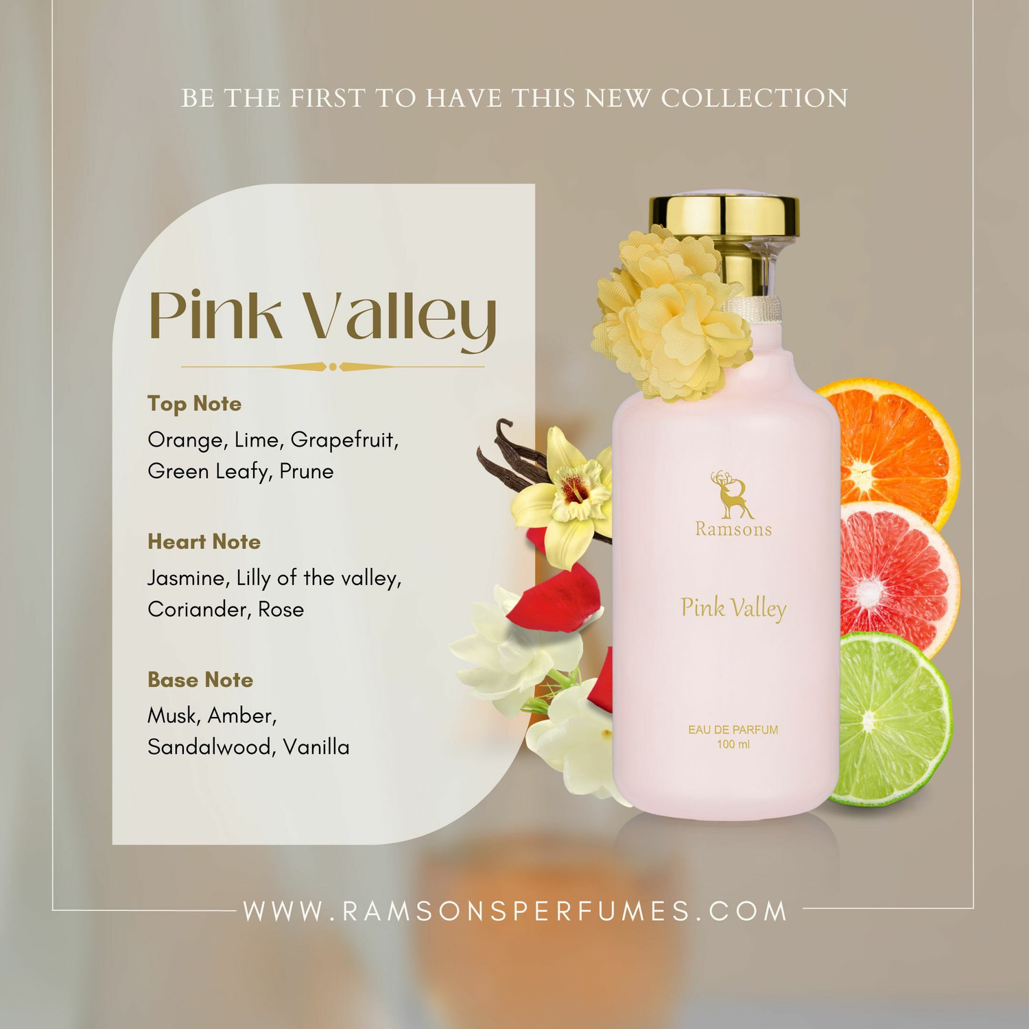 Image of RAMSONS Pink Valley Eau de Parfum - 100 ml