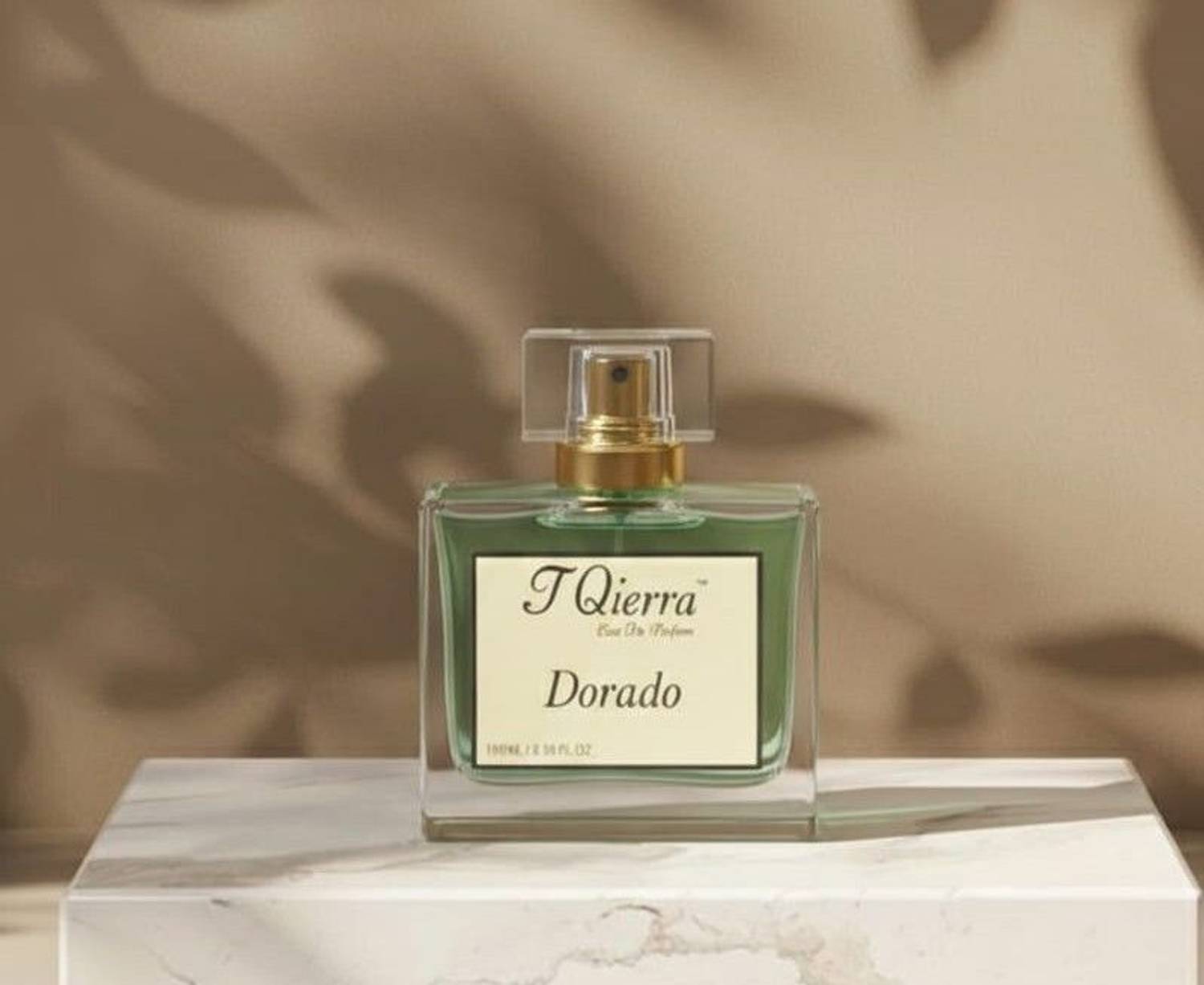 T Qierra Fresh Spicy Aquatic Perfume for Men 100 ml - Image 2