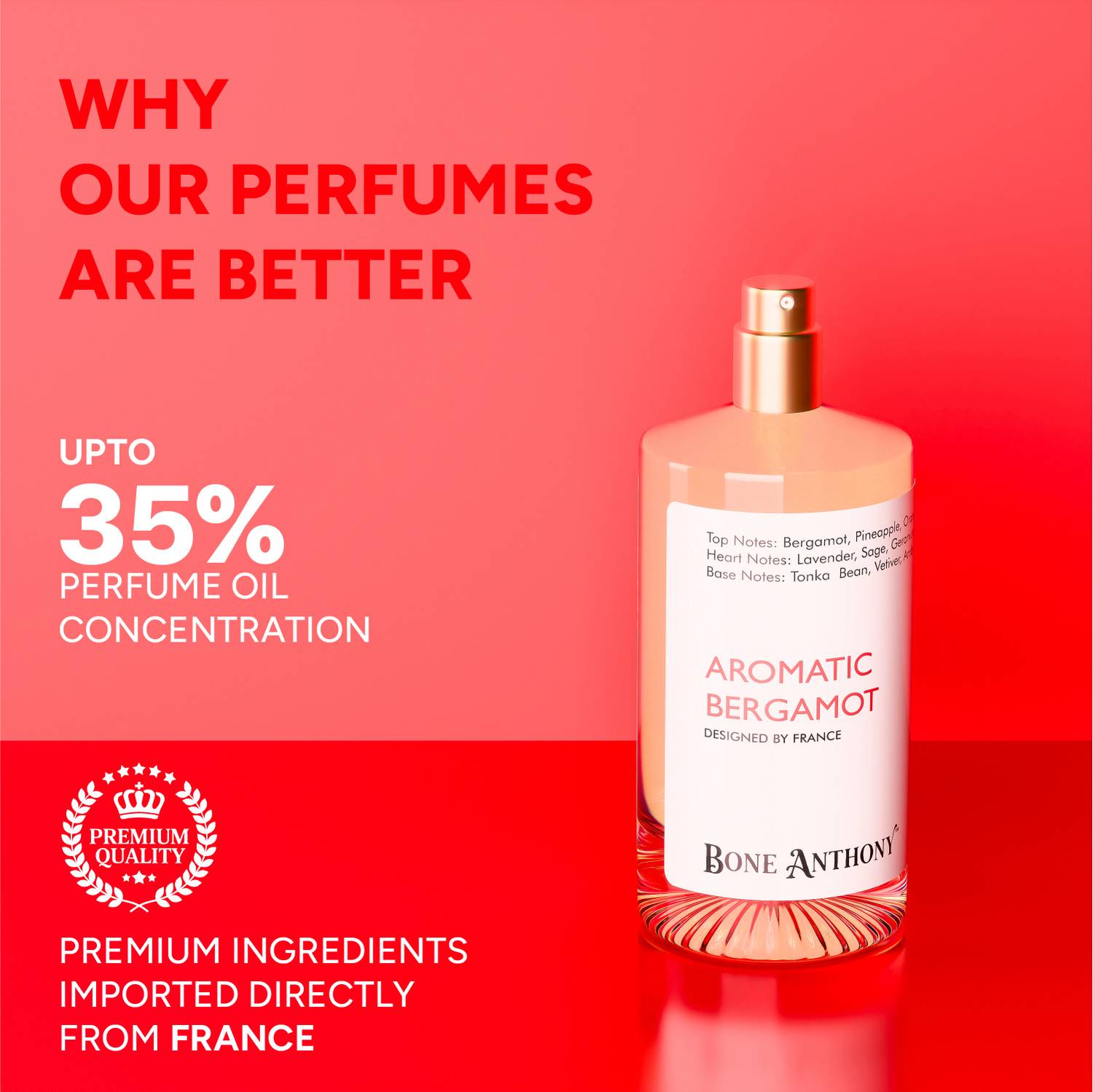 Bone Anthony Aromatic Bergamot Perfume 50 ml - Image 3