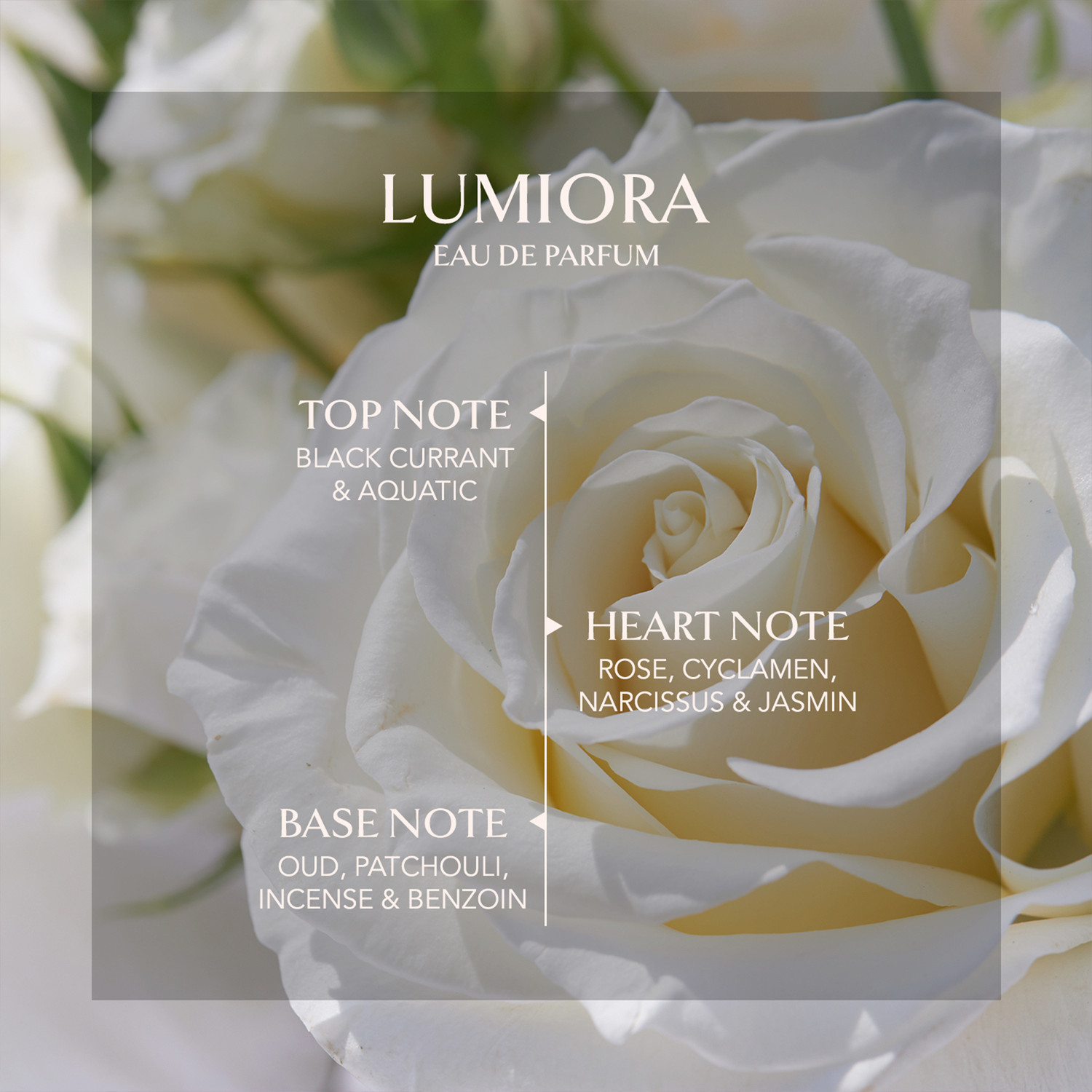 Image of Embarouge Lumiora Long Lasting Dubai Perfume |Floral, Oud & Woody Jasmine Fragrance Eau de Parfum - 100 ml