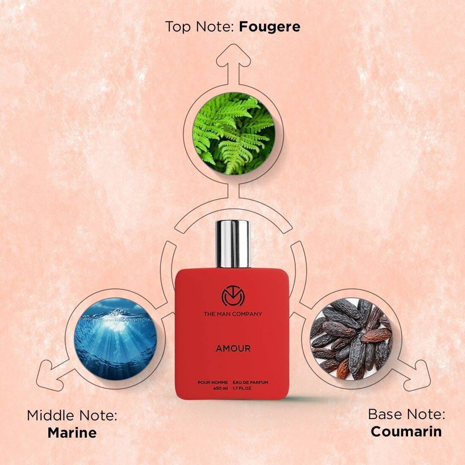 THE MAN COMPANY Amour Eau de Parfum 50 ml - Image 3