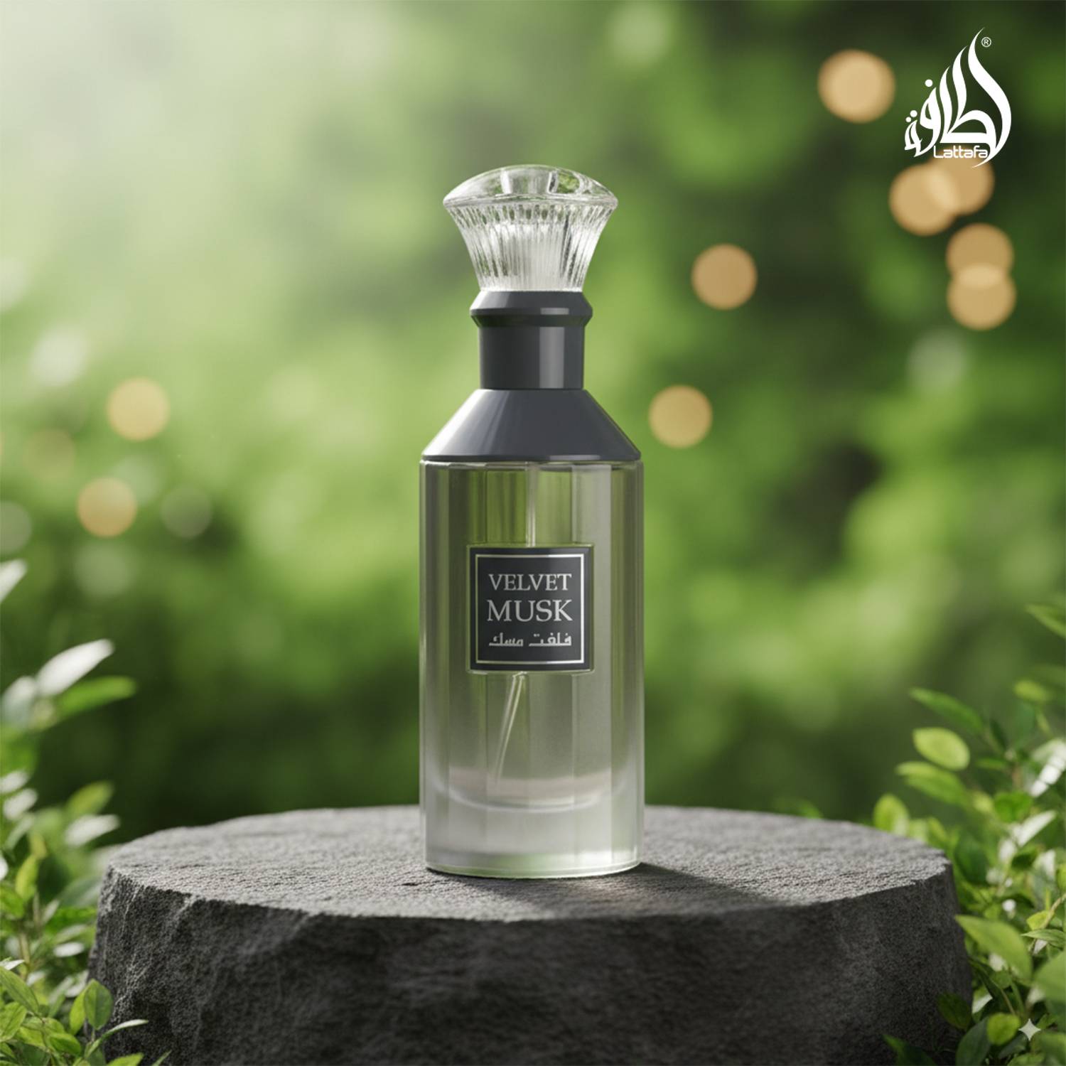 香水(男性用) Lattafa Velvet Musk Buy Lattafa Velvet Musk Unisex Eau de Parfum - 100 ml Online In