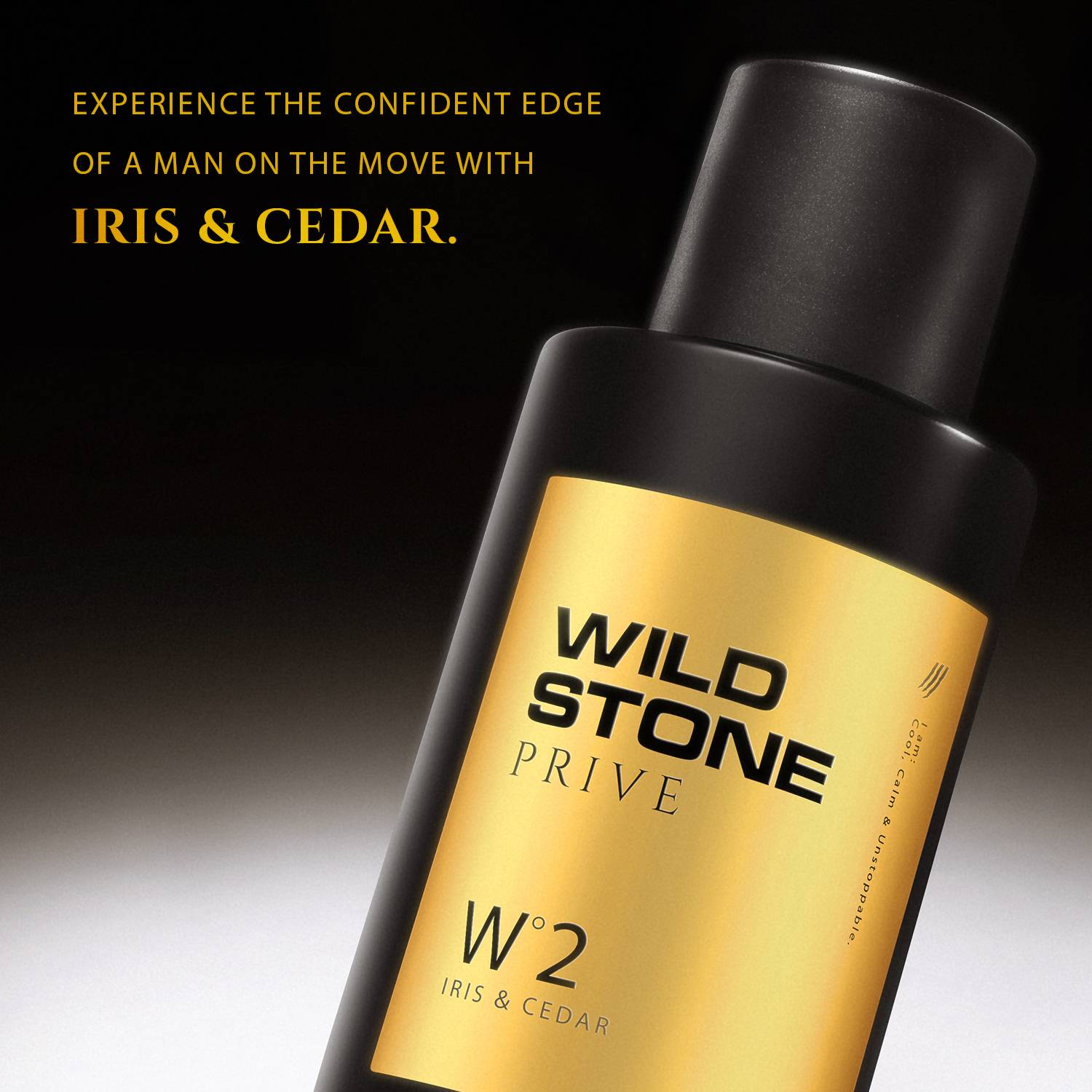 Wild Stone PriveW2 Iris & Cedar Parfume 100 ml - Image 3
