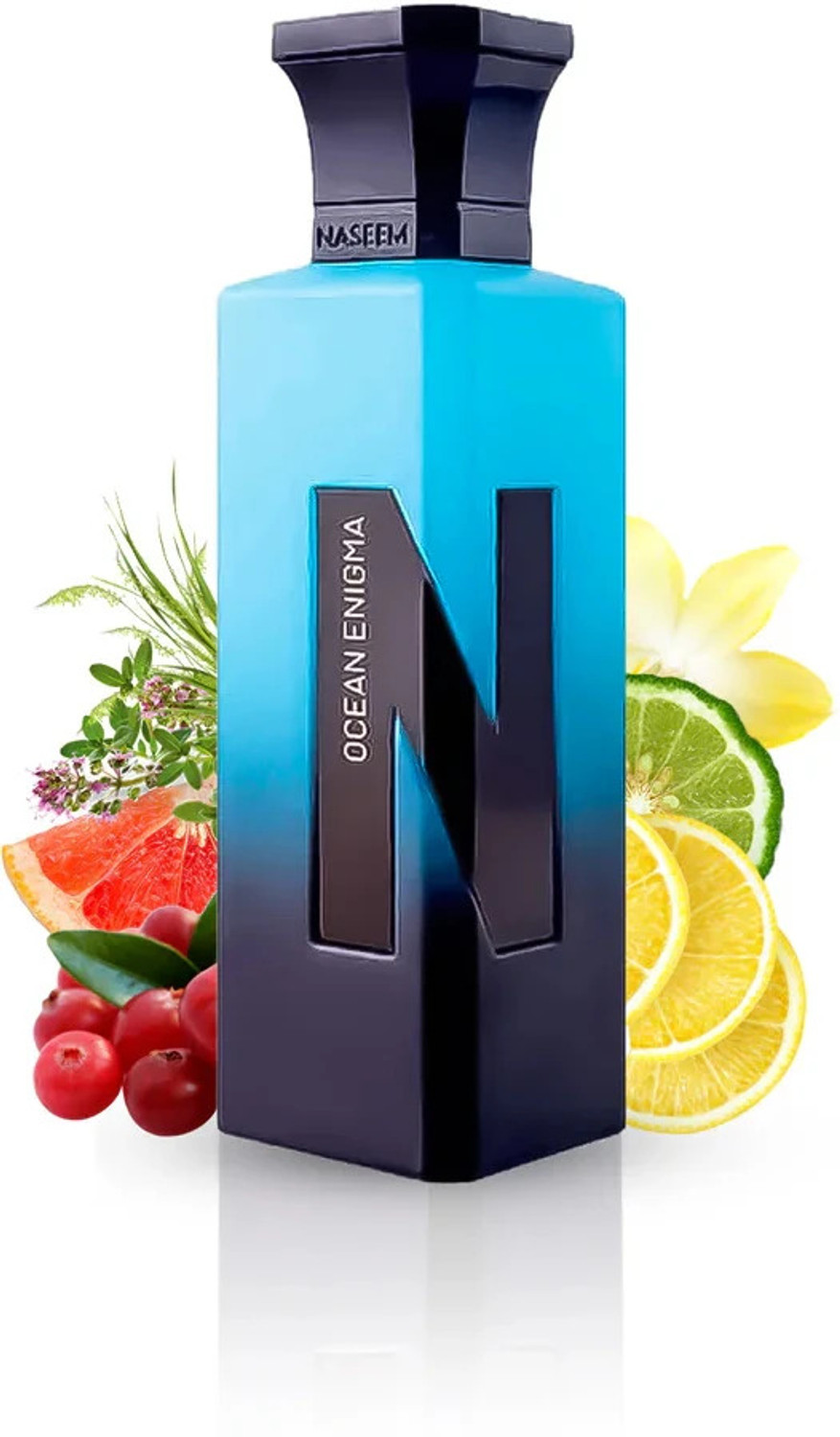 Image of NASEEM Ocean Enigma Aqua Perfume Alcohol Free Long-Lasting Eau De Parfum For Men Eau de Parfum - 75 ml