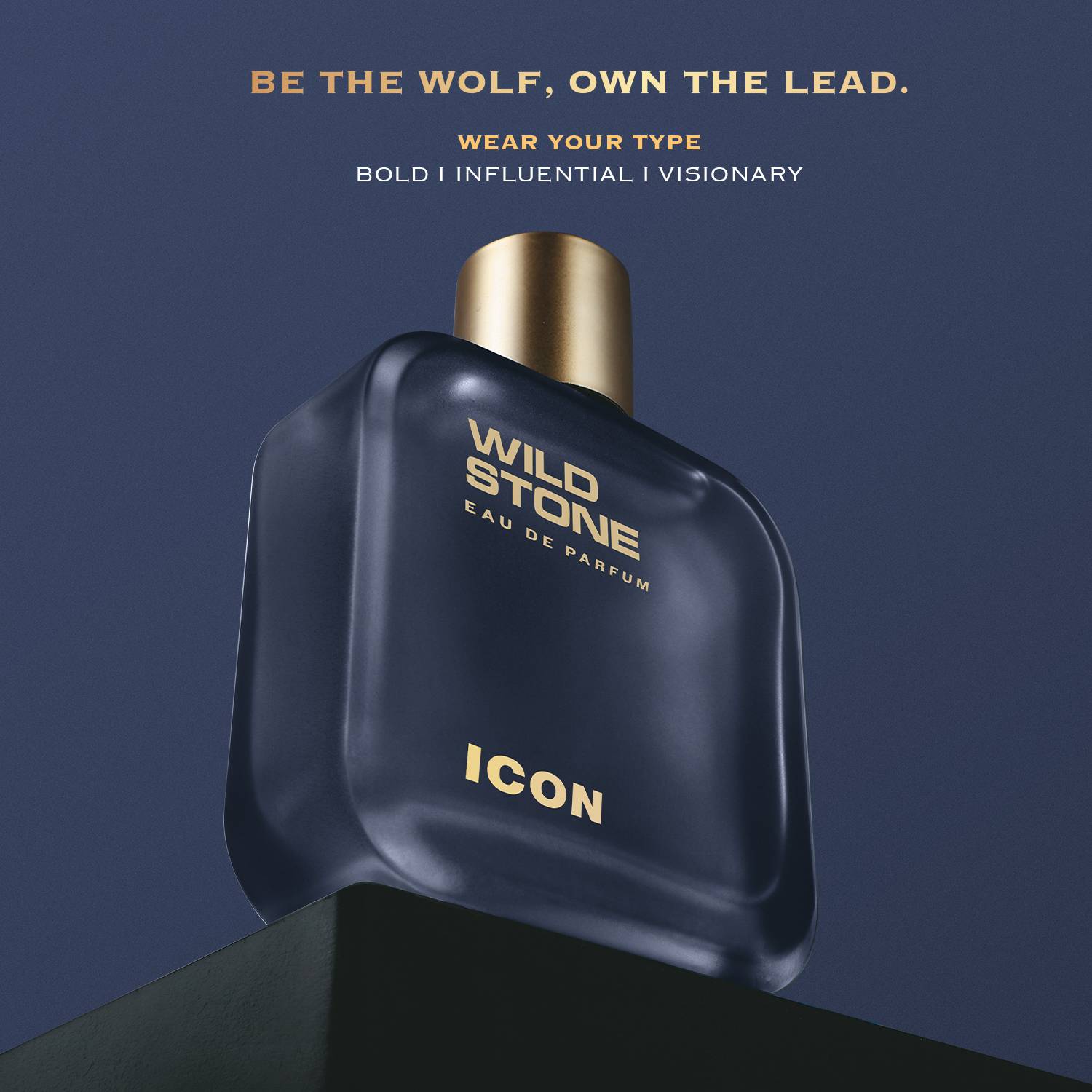 Wild Stone ICON 100ml Eau de Parfum - Image 5