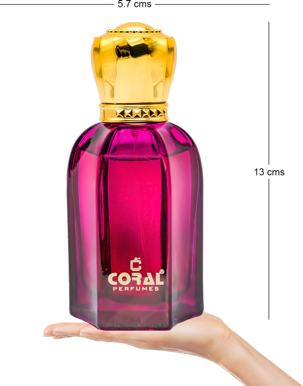 Image of C CORAL PERFUMES Oud Malaki Eau de Parfum - 100 ml (For Men & Women)