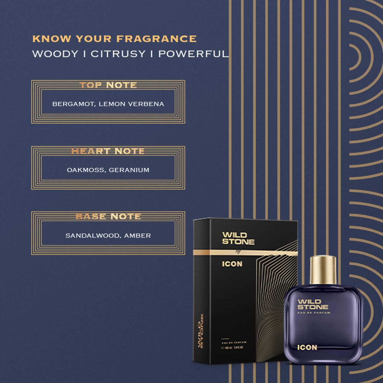 Wild Stone ICON 100ml Eau de Parfum - Image 3