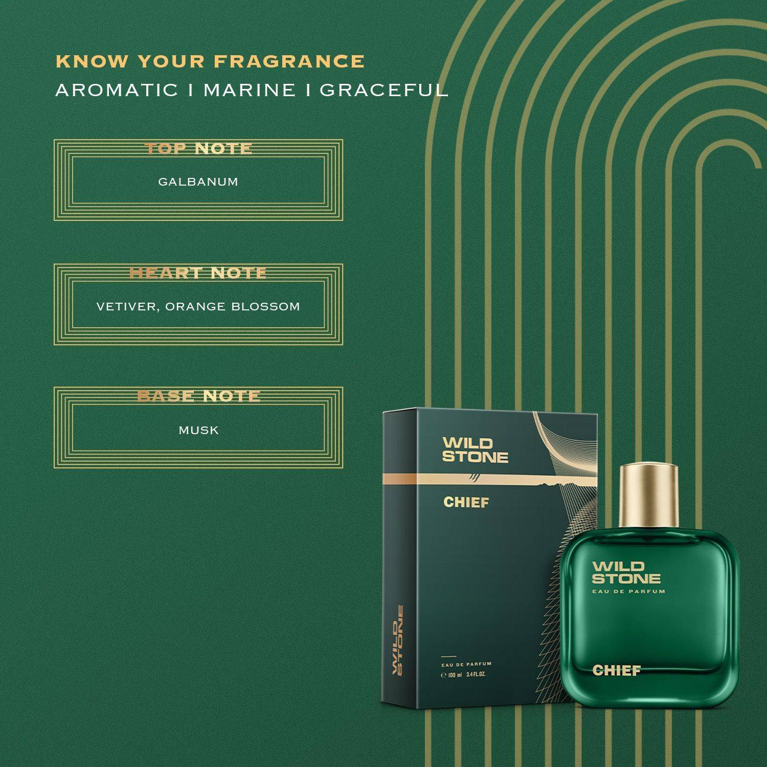 Wild Stone CHIEF Eau de Parfum 100 ml - Image 3