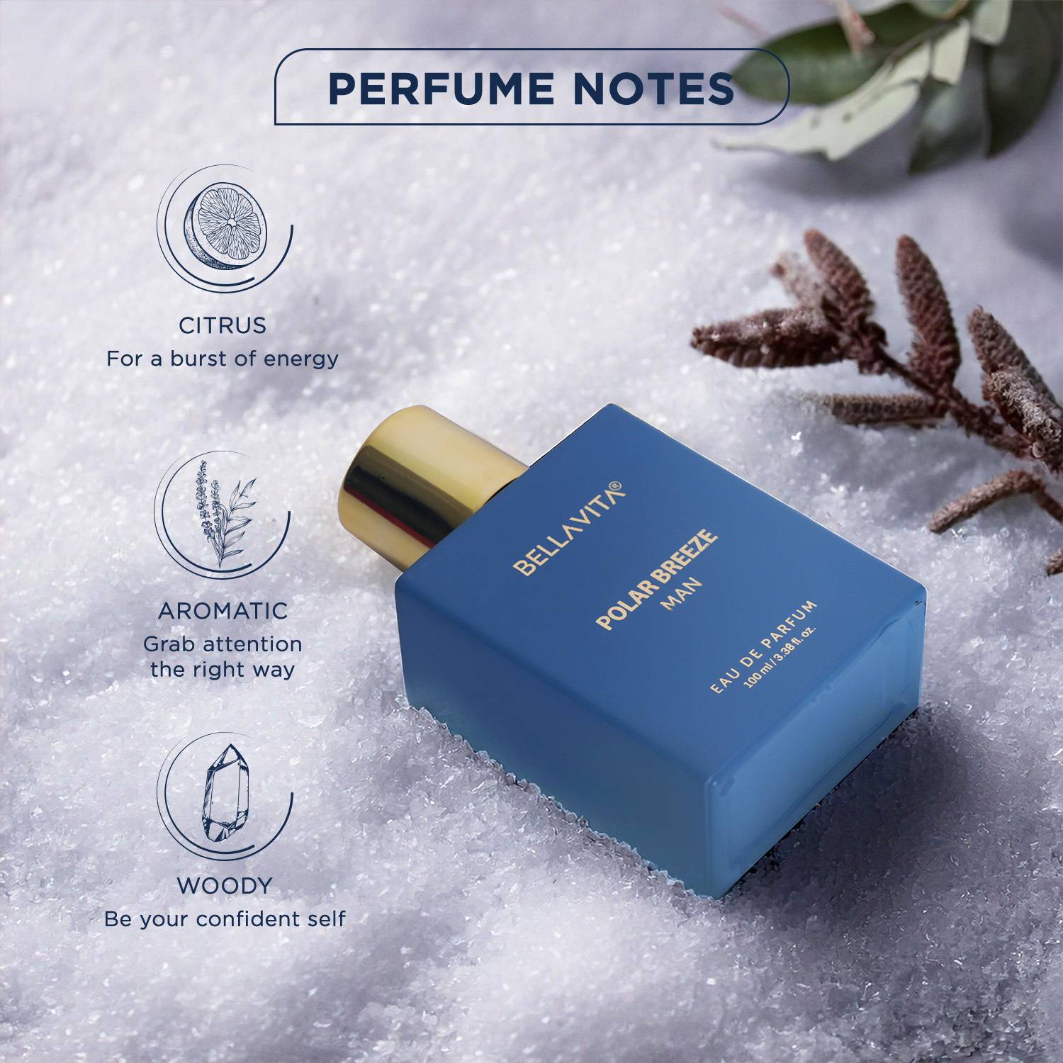 BELLAVITA POLAR BREEZE Perfume 100 ml - Image 2