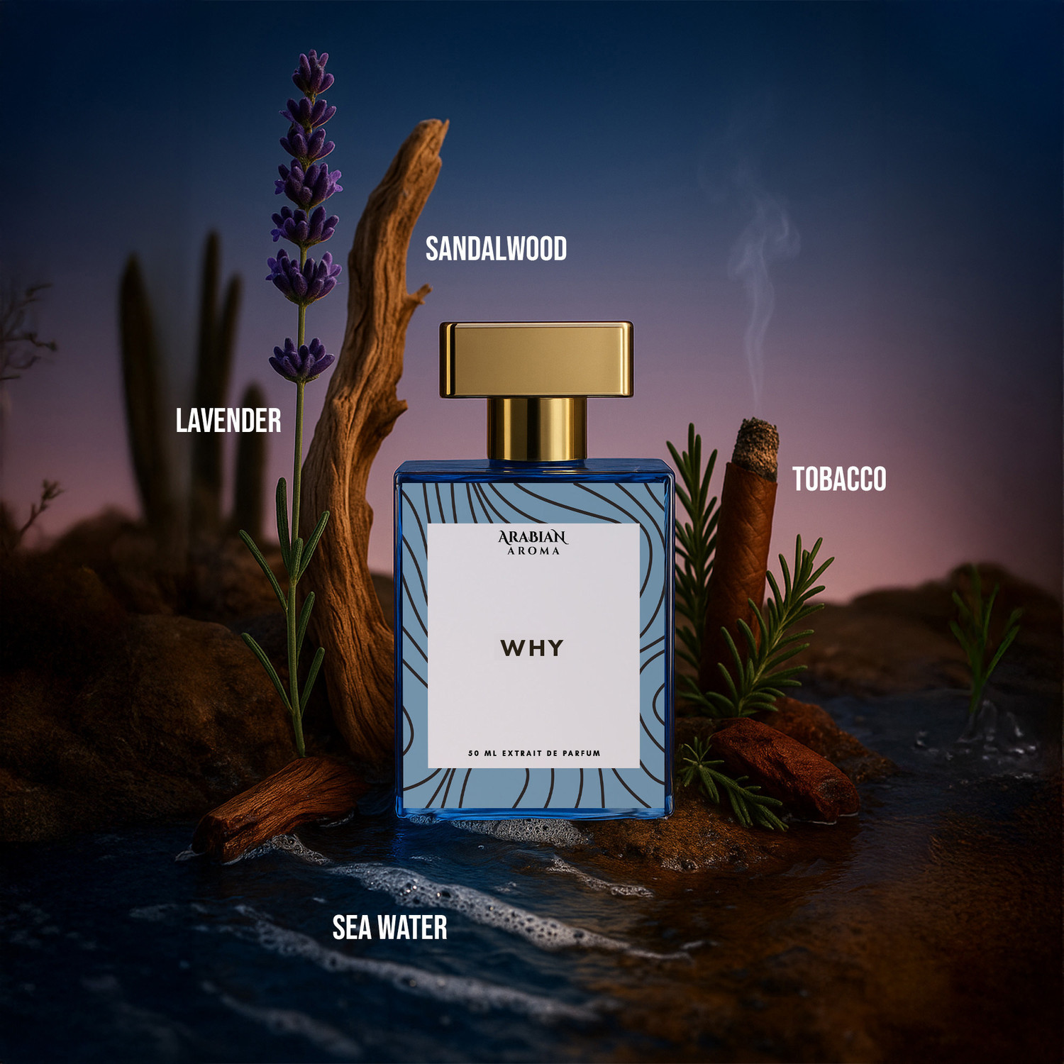 Image of Arabian Aroma Perfume Combo For Men Sovage & WHY Men's Long Lasting Fragrance for Men Extrait De Parfum - 100 ml