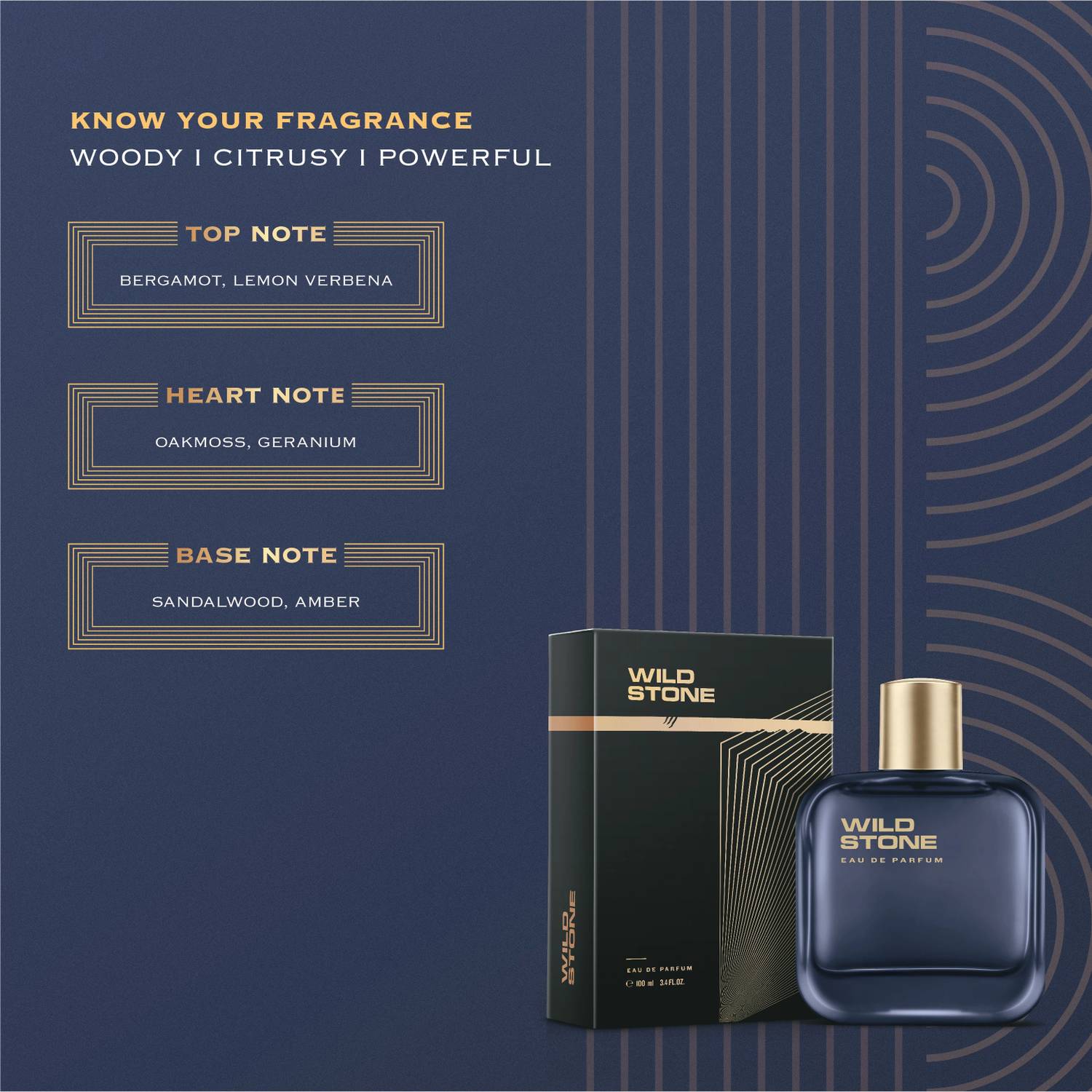 Wild Stone ICON 100ml Eau de Parfum - Image 4