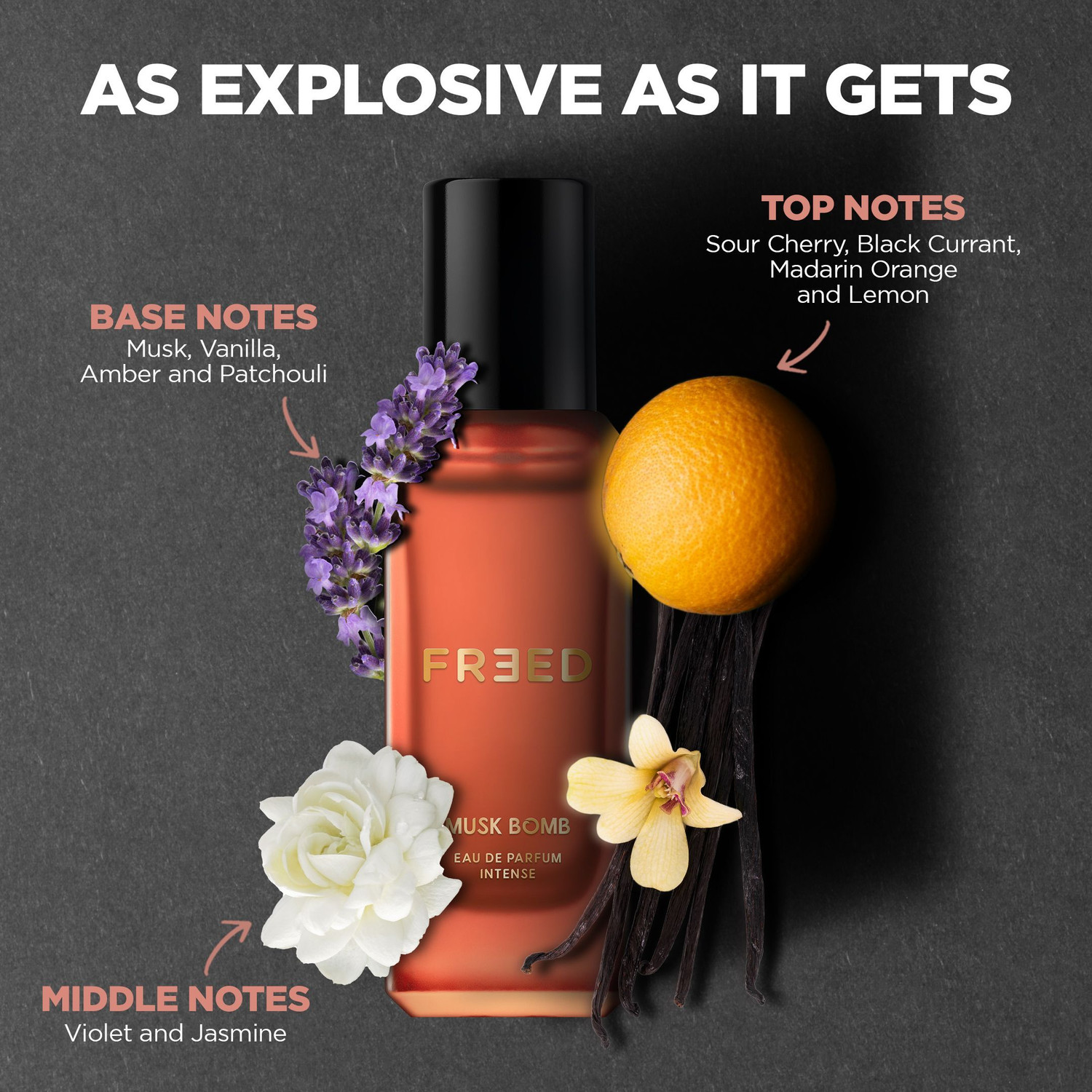 Image of FREED Musk Bomb Perfume for Women | Intense Strong & Long Lasting | | Spicy Oriental Eau de Parfum - 20 ml